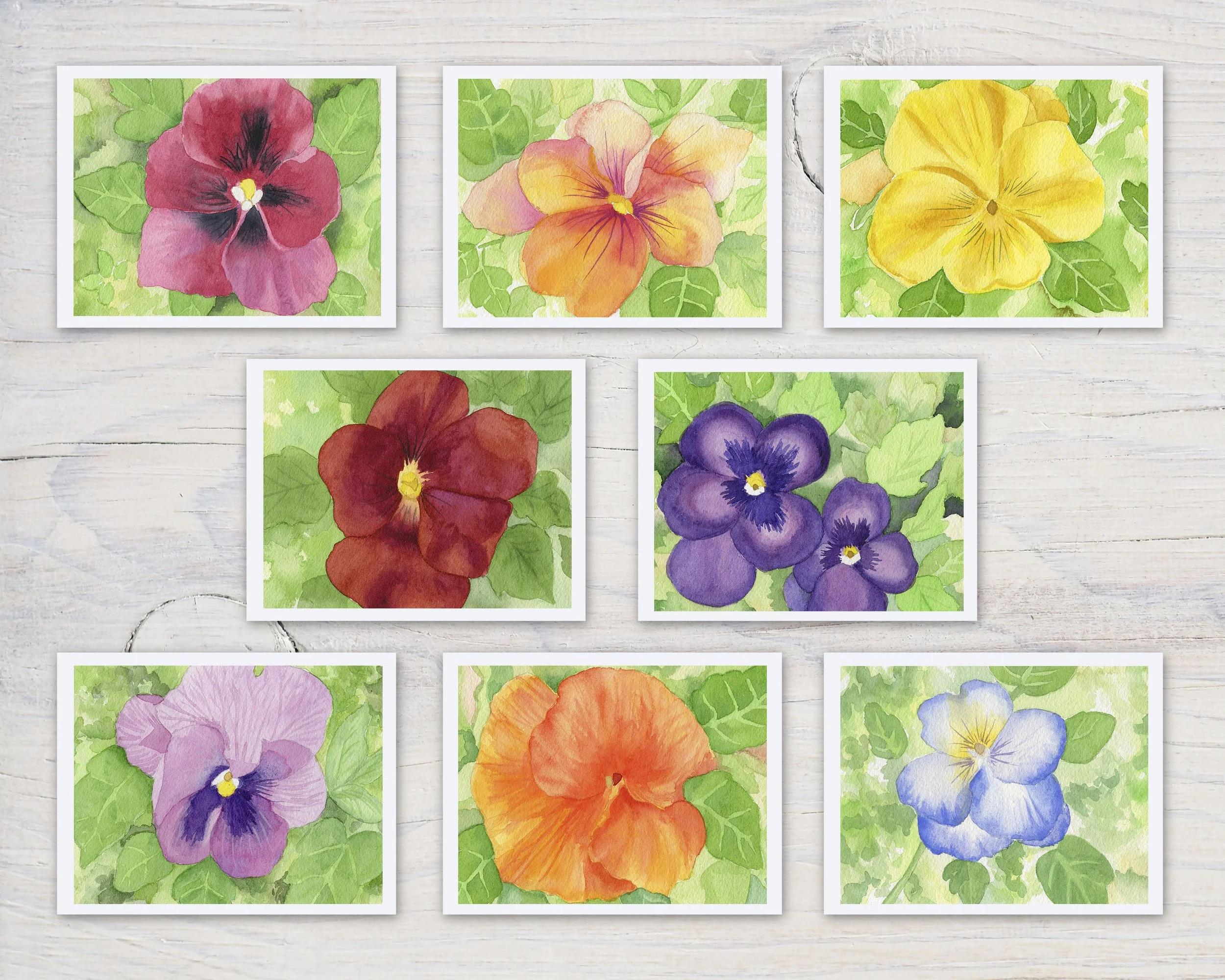 Colorful Pansy Notecards – Set of Eight