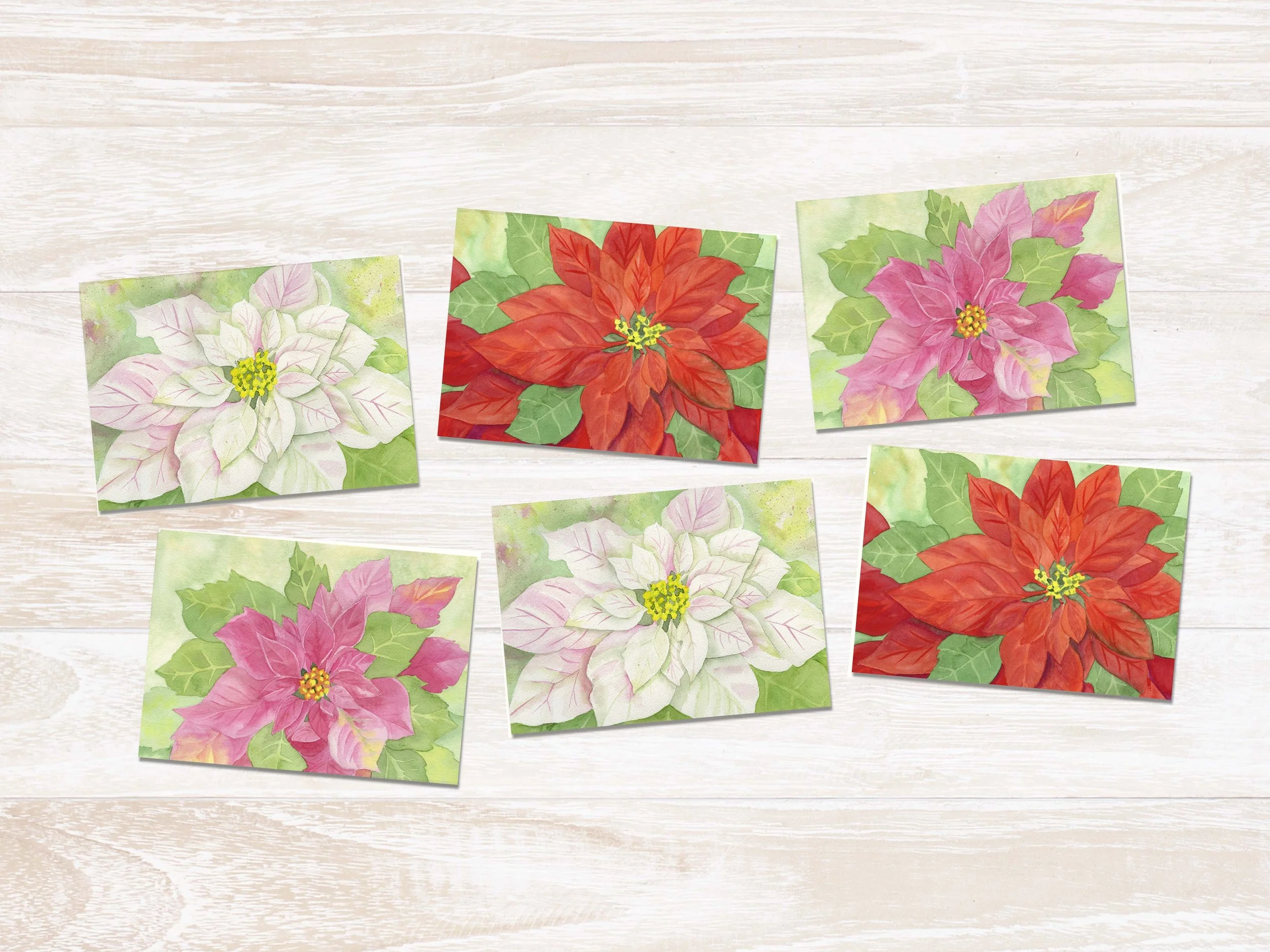 All 6 Poinsettia.jpg