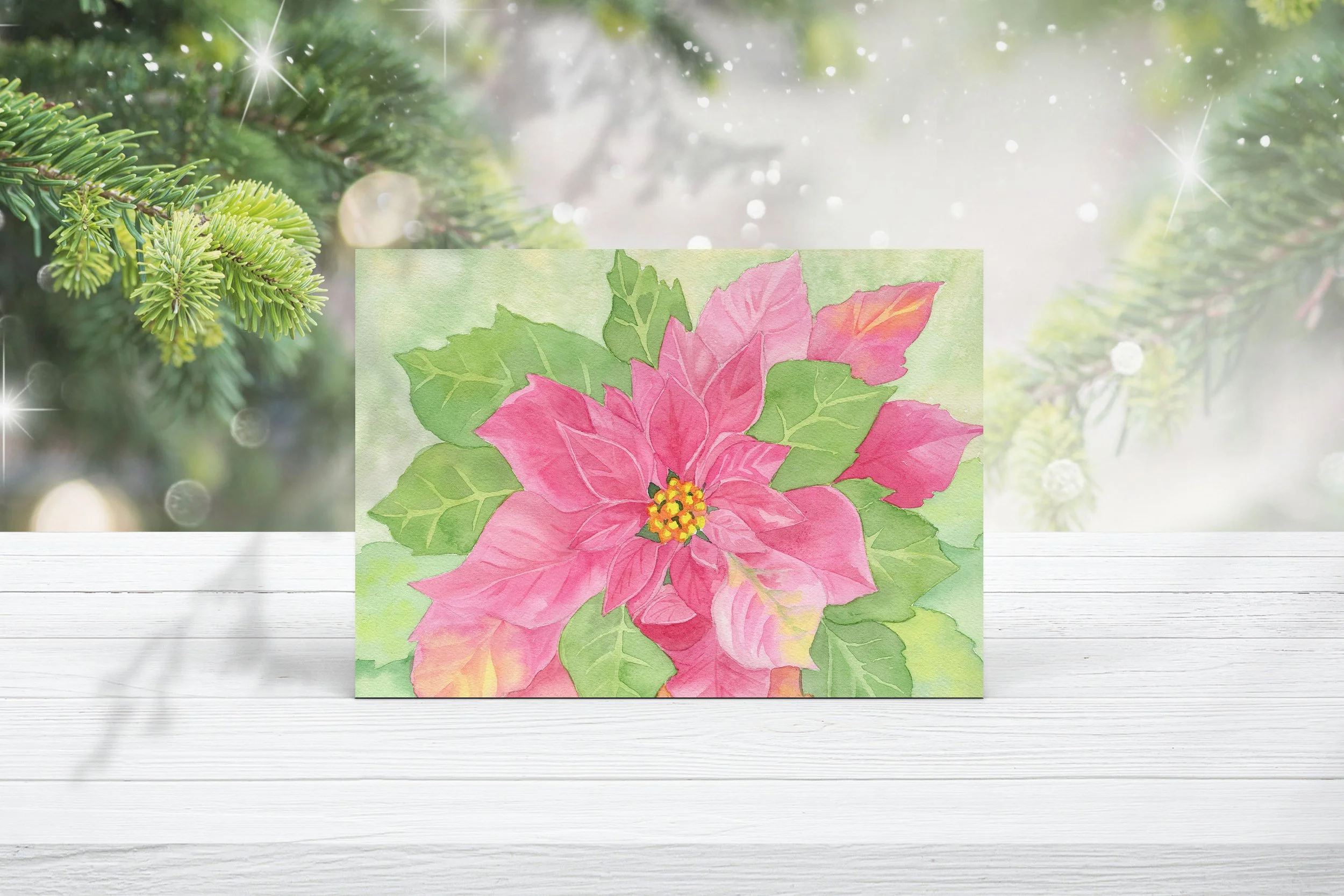 Pointsettia H.jpg