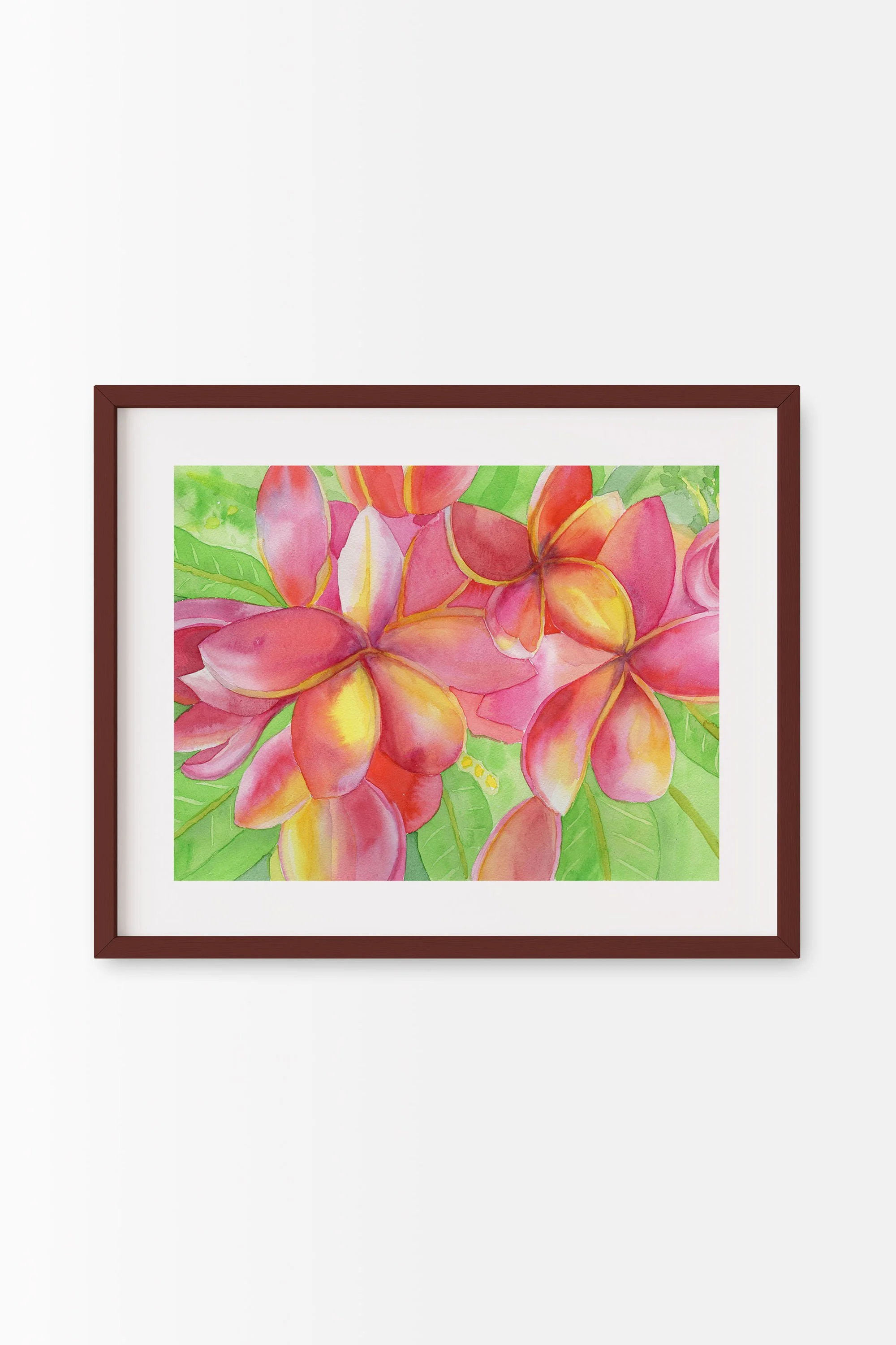 Fuchsia and Yellow Plumeria Mahogany A.jpg