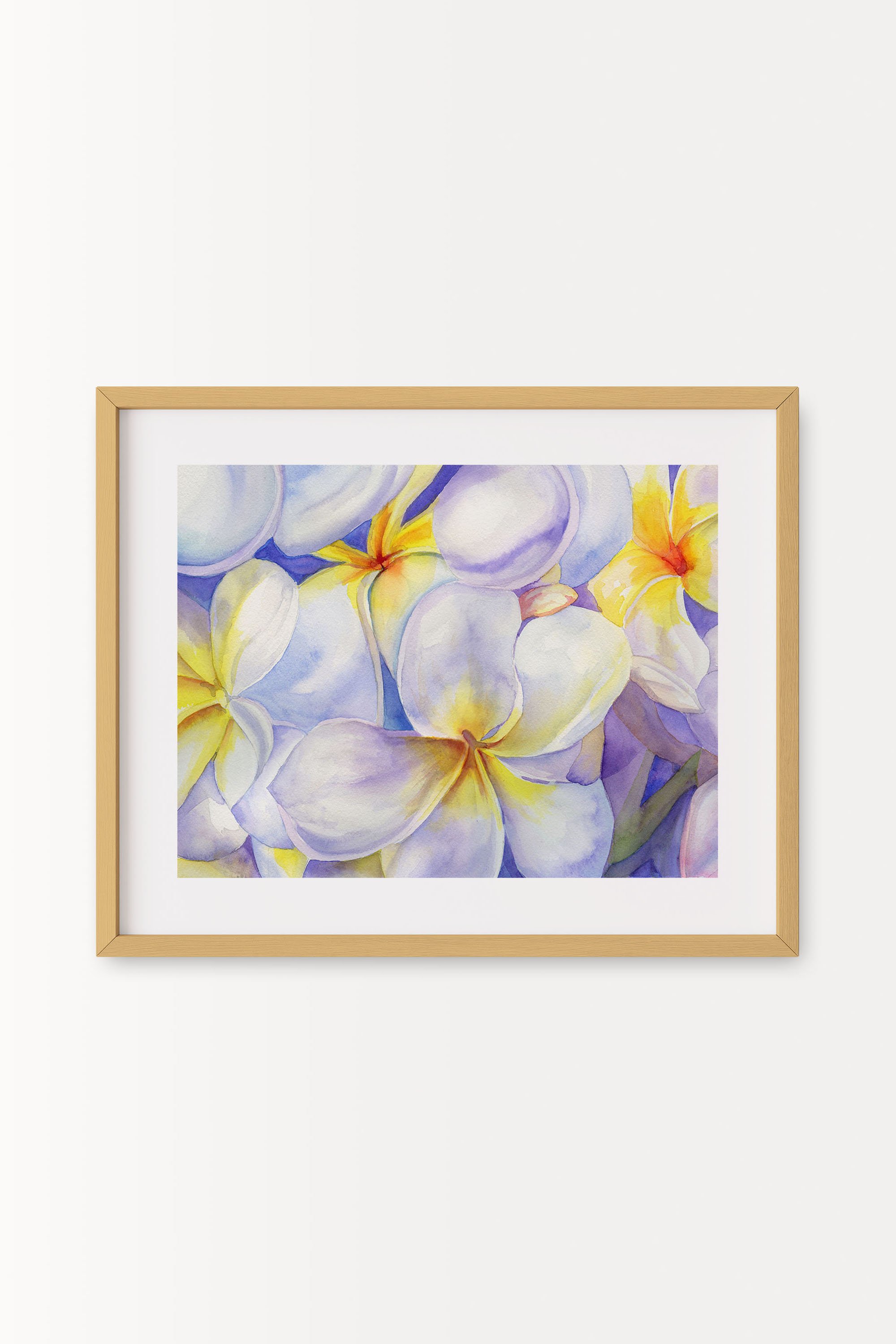 White and Purple Plumeria Natural A.jpg