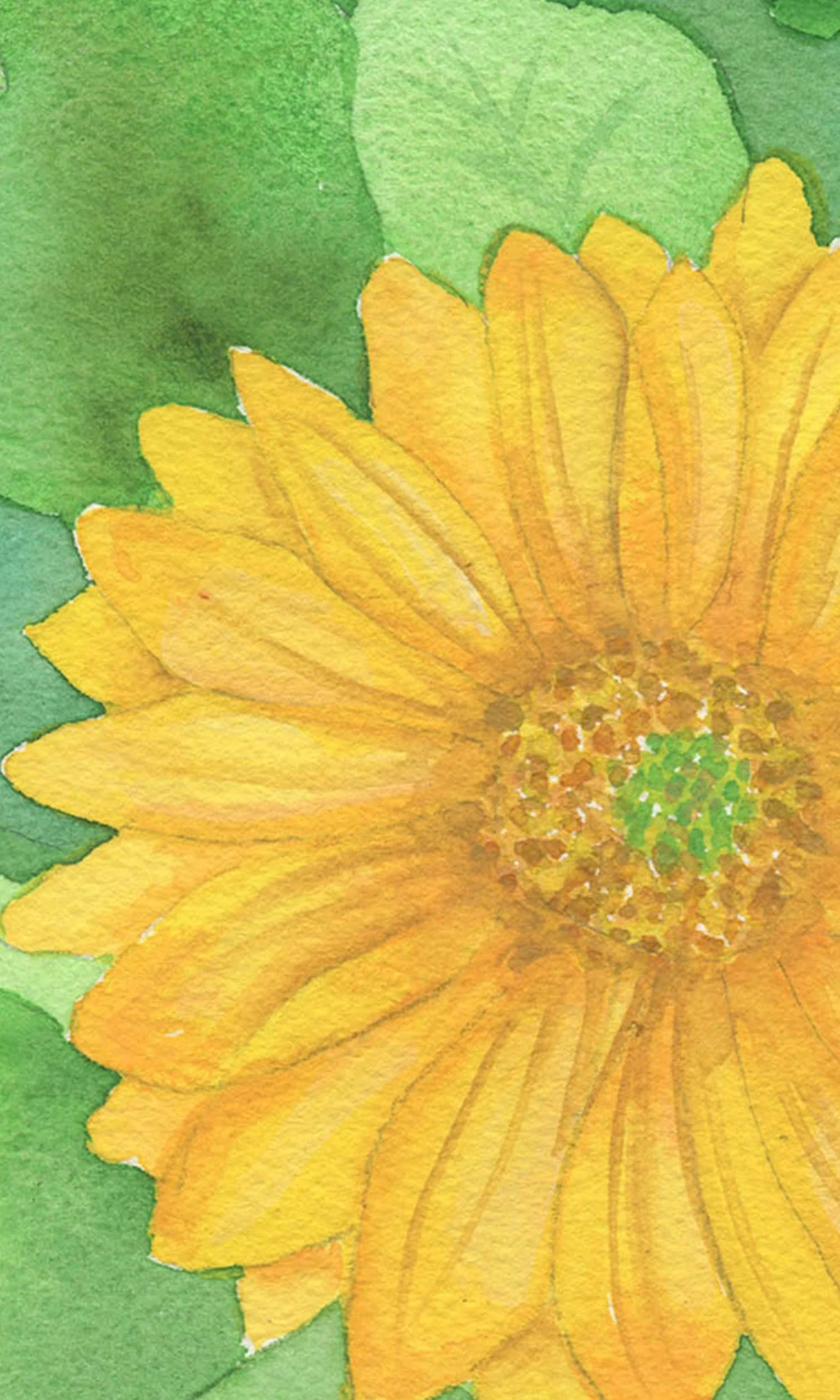 Gerbera Close up_0001_img025 Small.jpg