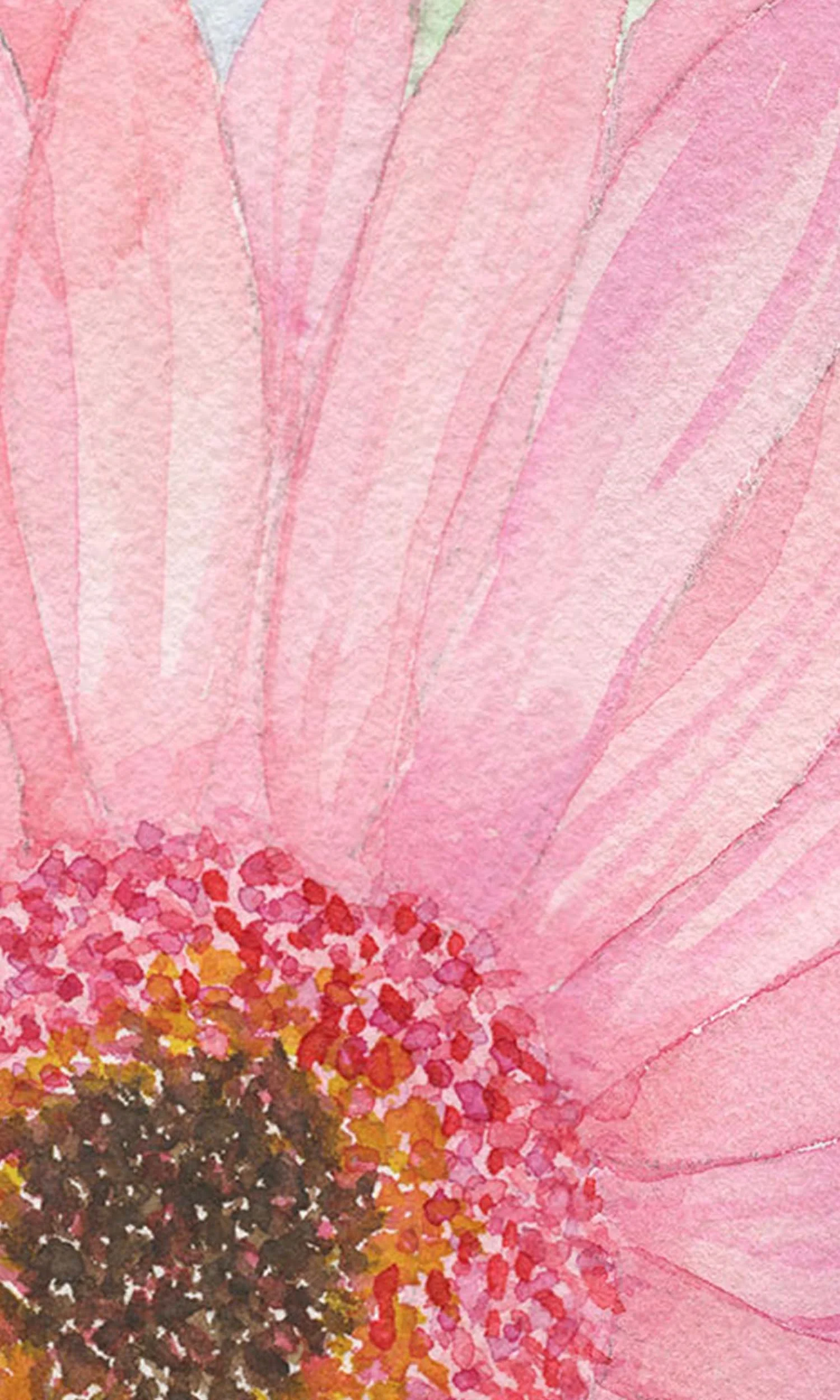 Gerbera Close up_0003_img009 Small.jpg