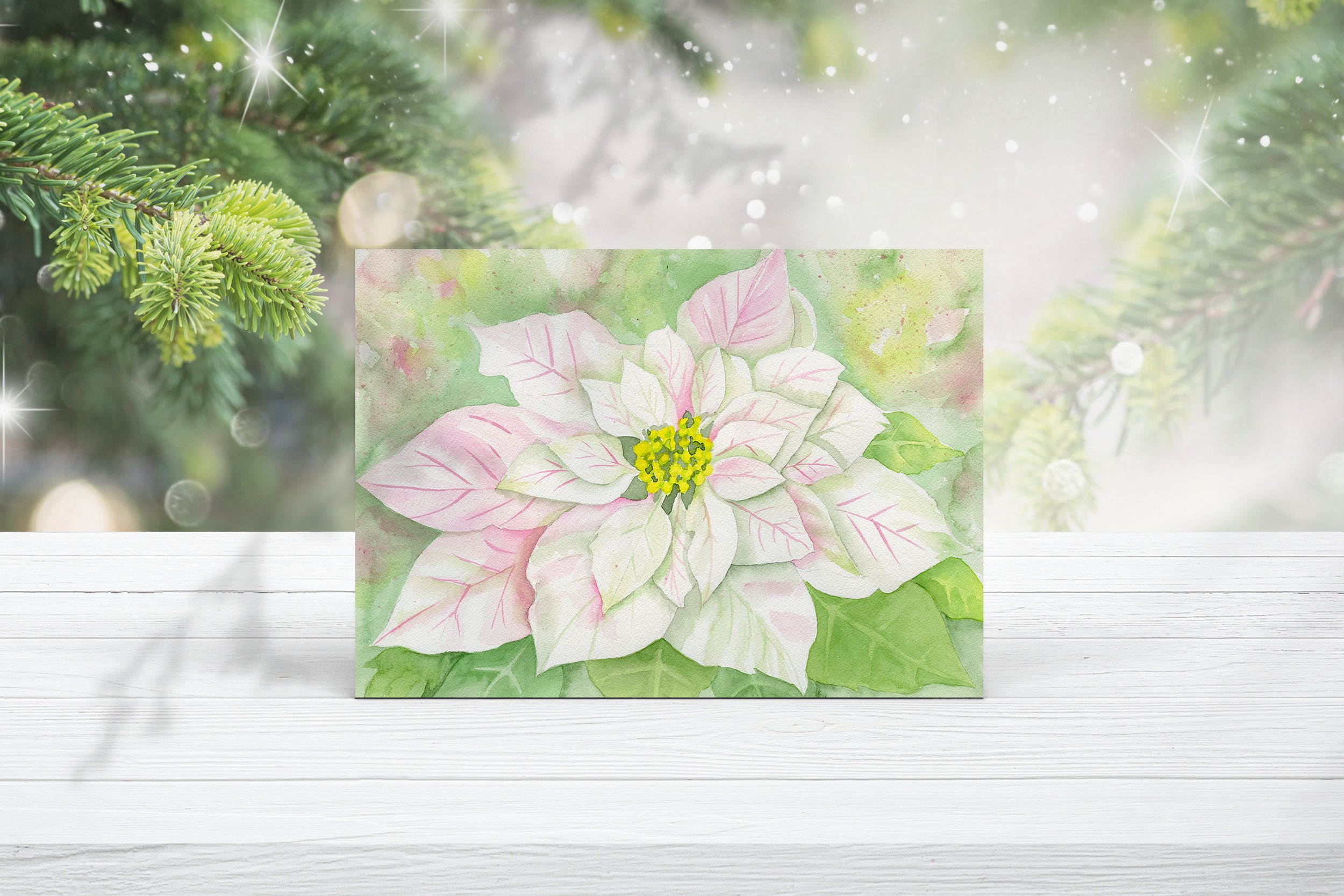 Pointsettia J.jpg