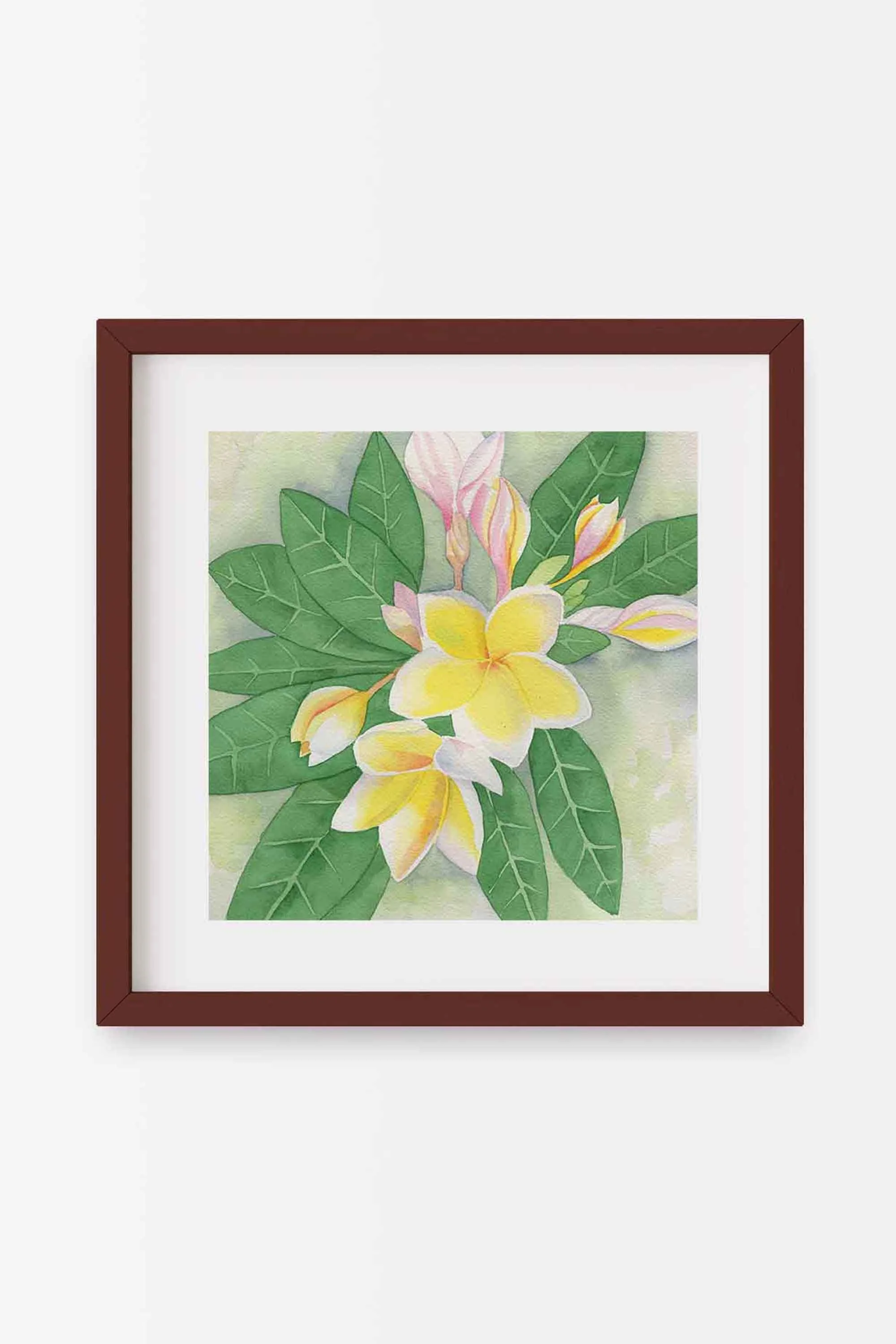 White Plumeria Square Mahogany A.jpg