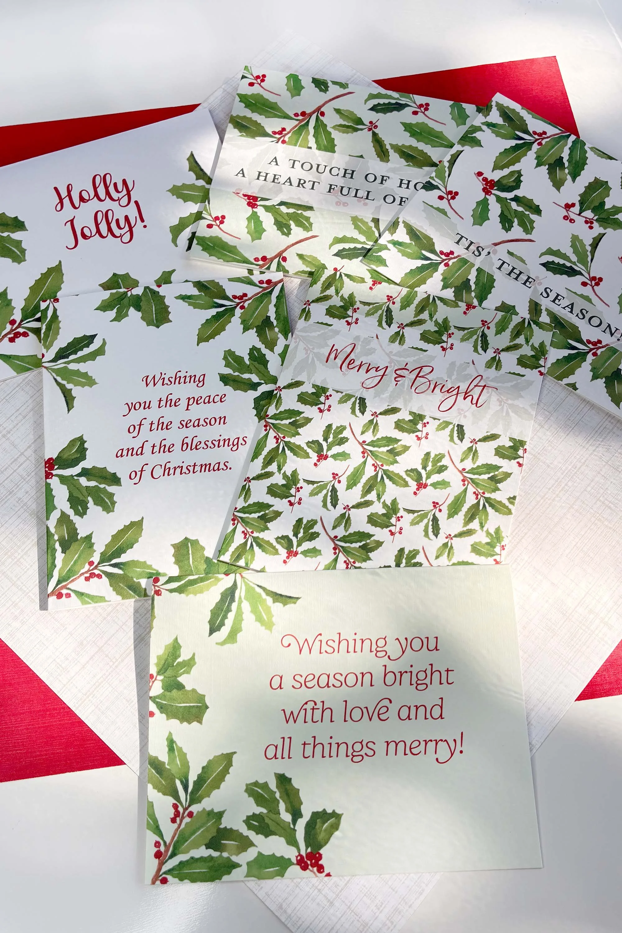 Holly All 6 C.jpg
