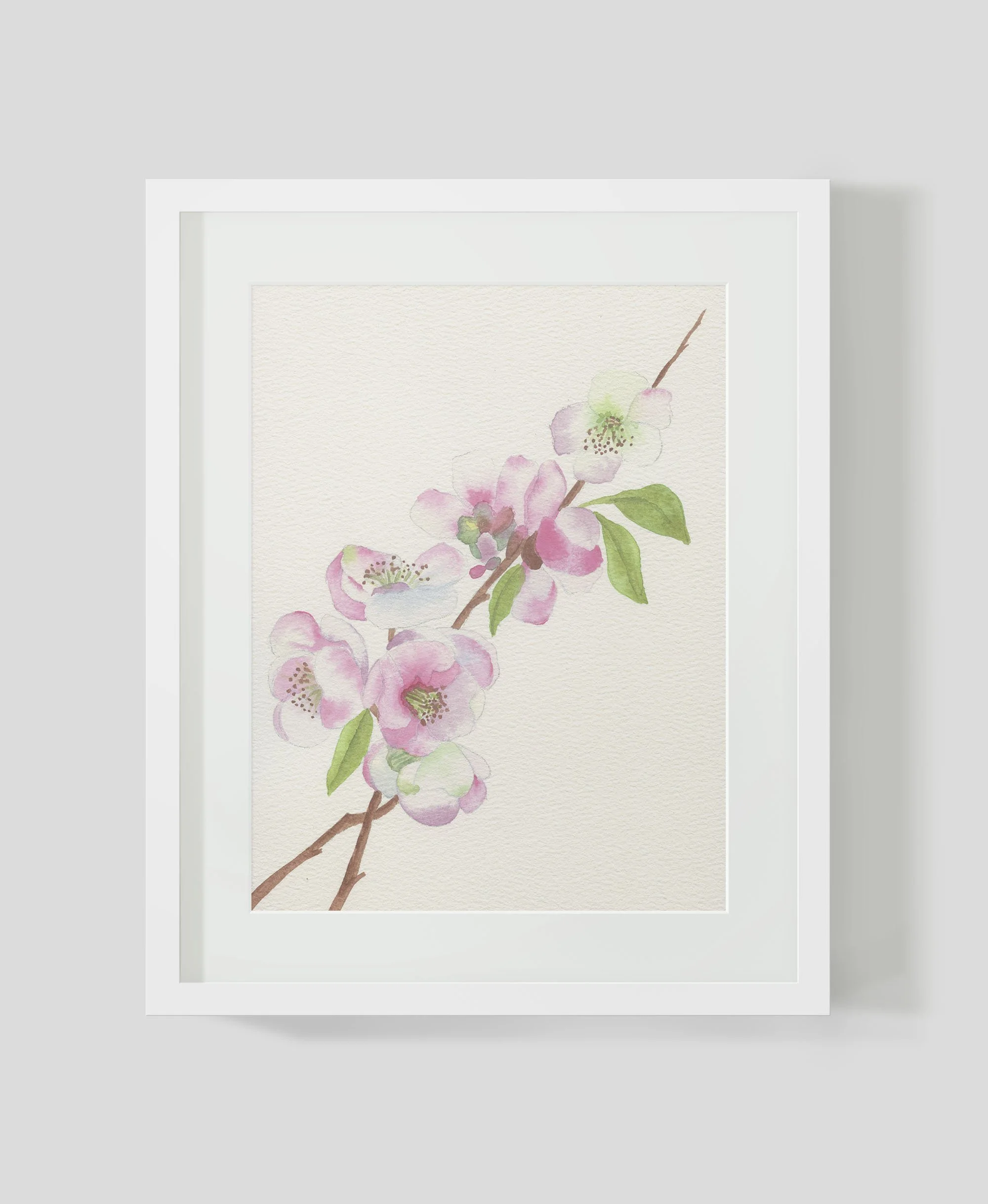 Cherry Blossom Single branch B 3.jpg