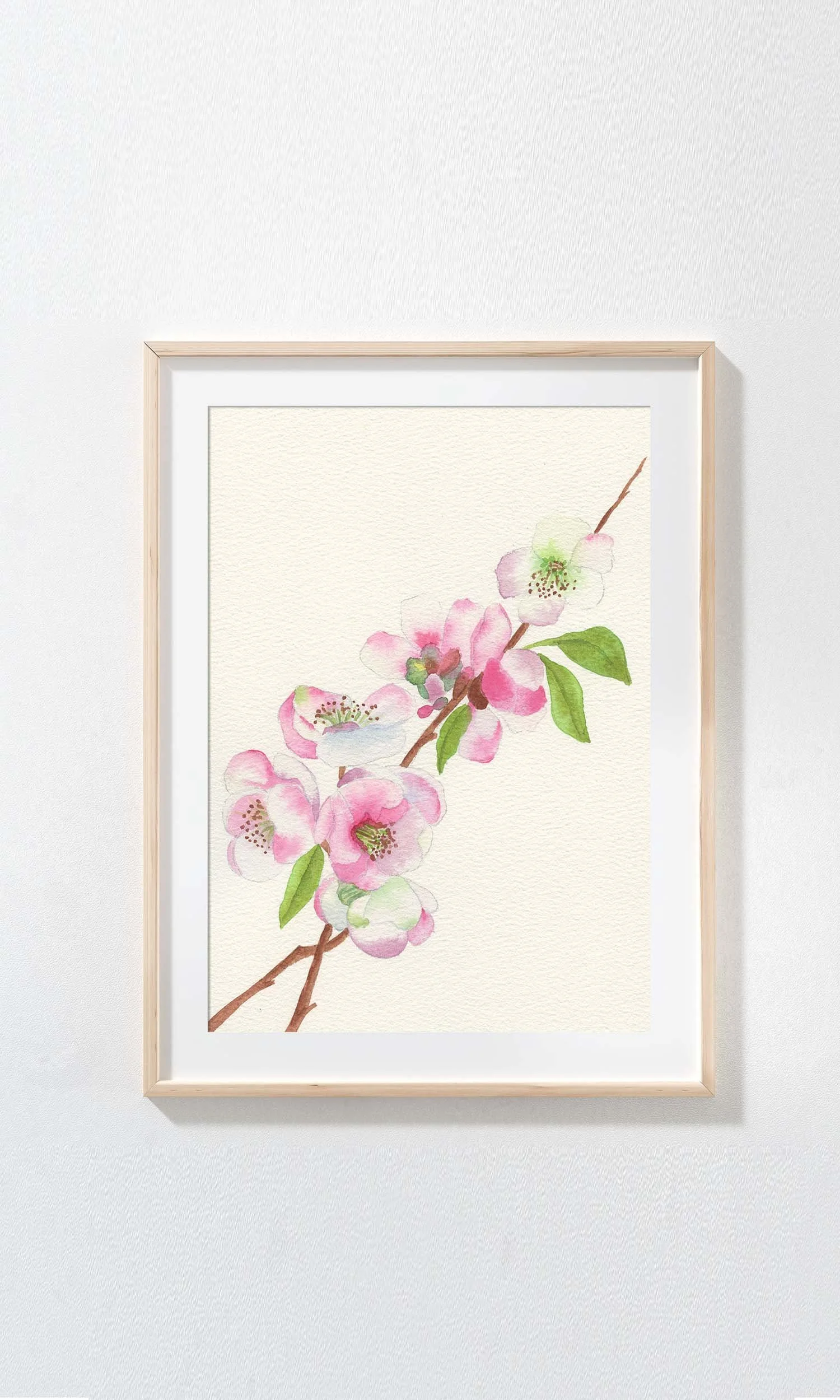 Pink Cherry Blossom Watercolor