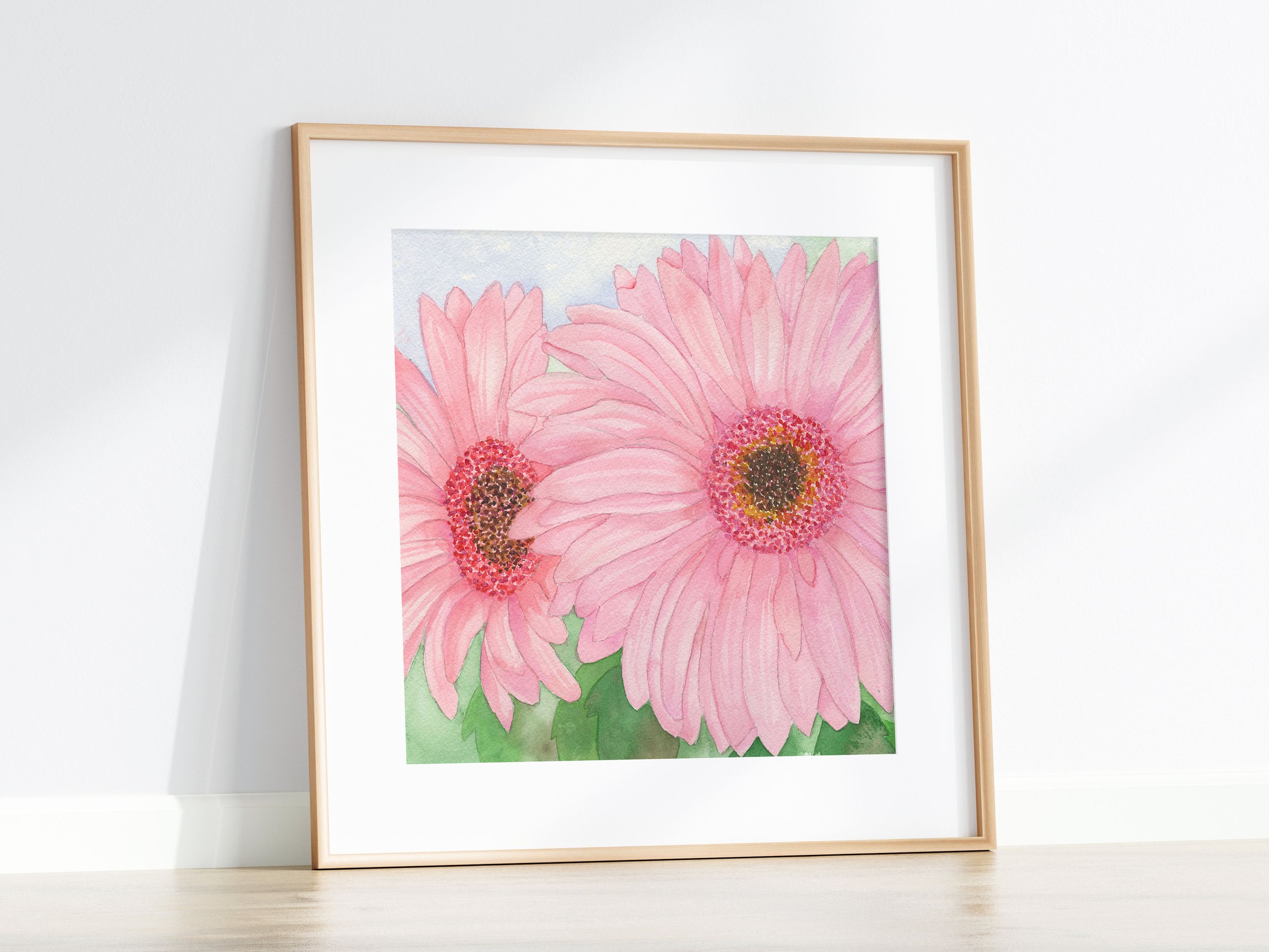 Pink Gerebra Daisy K1.jpg