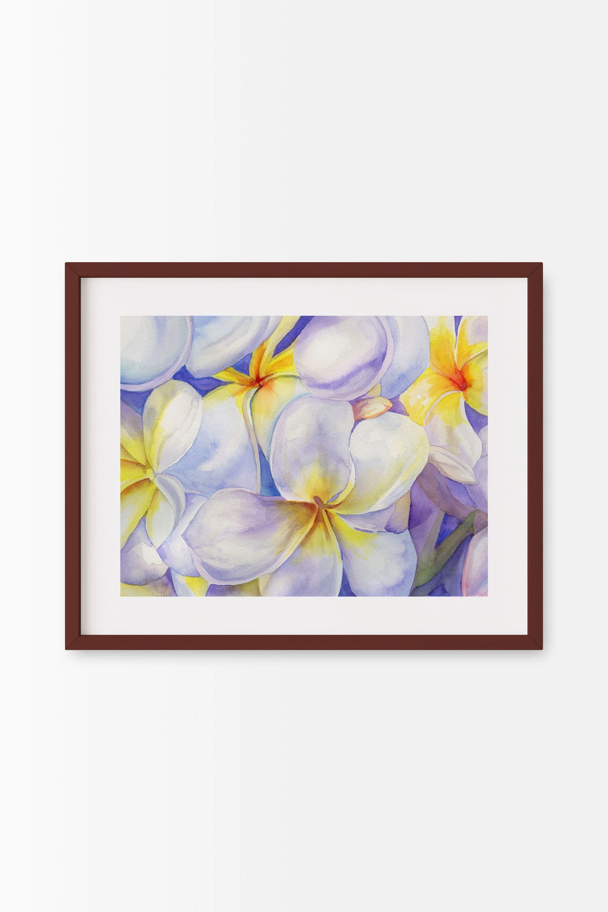 White and Purple Plumeria Mahogany A.jpg