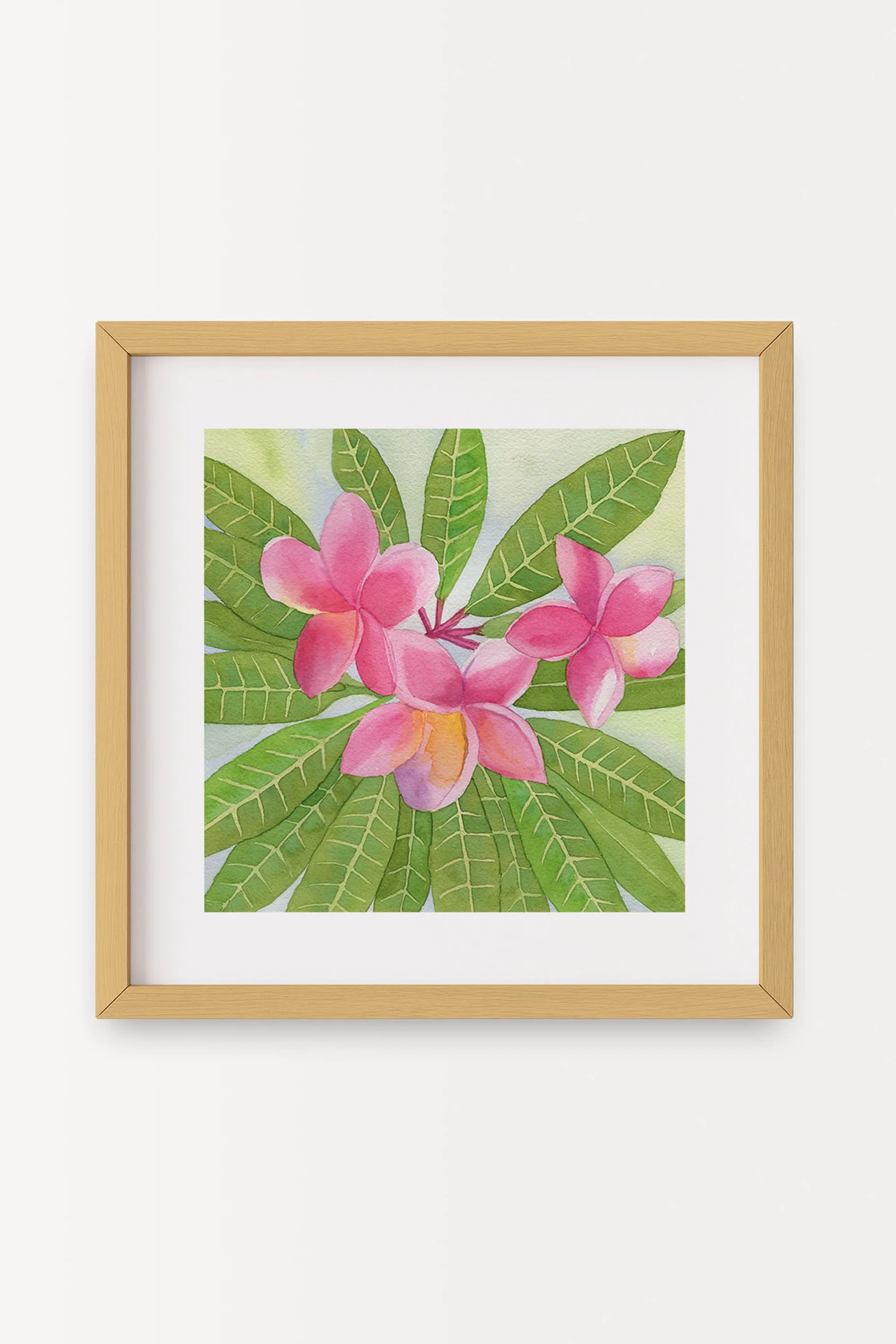 Deep Pink Plumeria B.jpg
