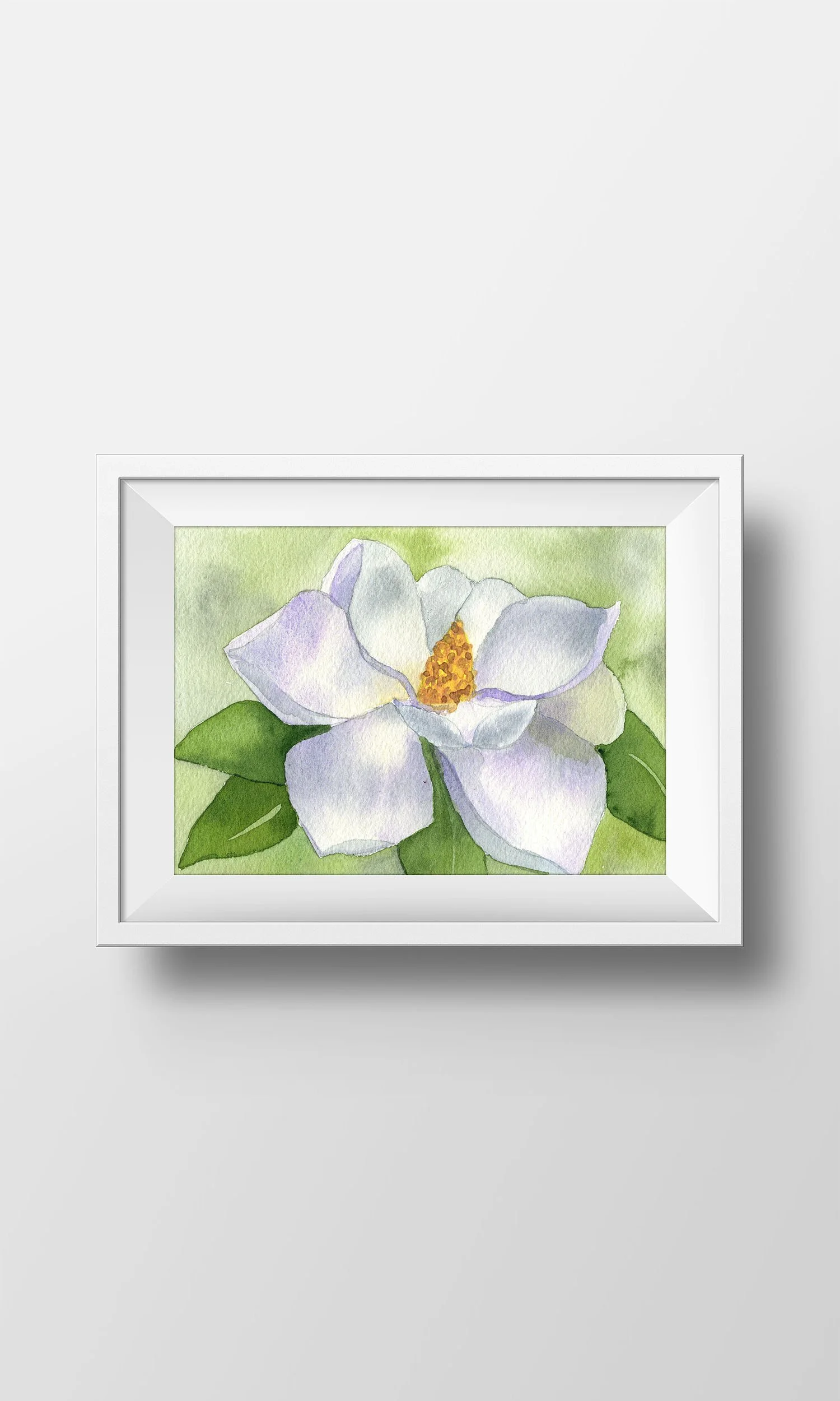 Small Magnolia One B.jpg
