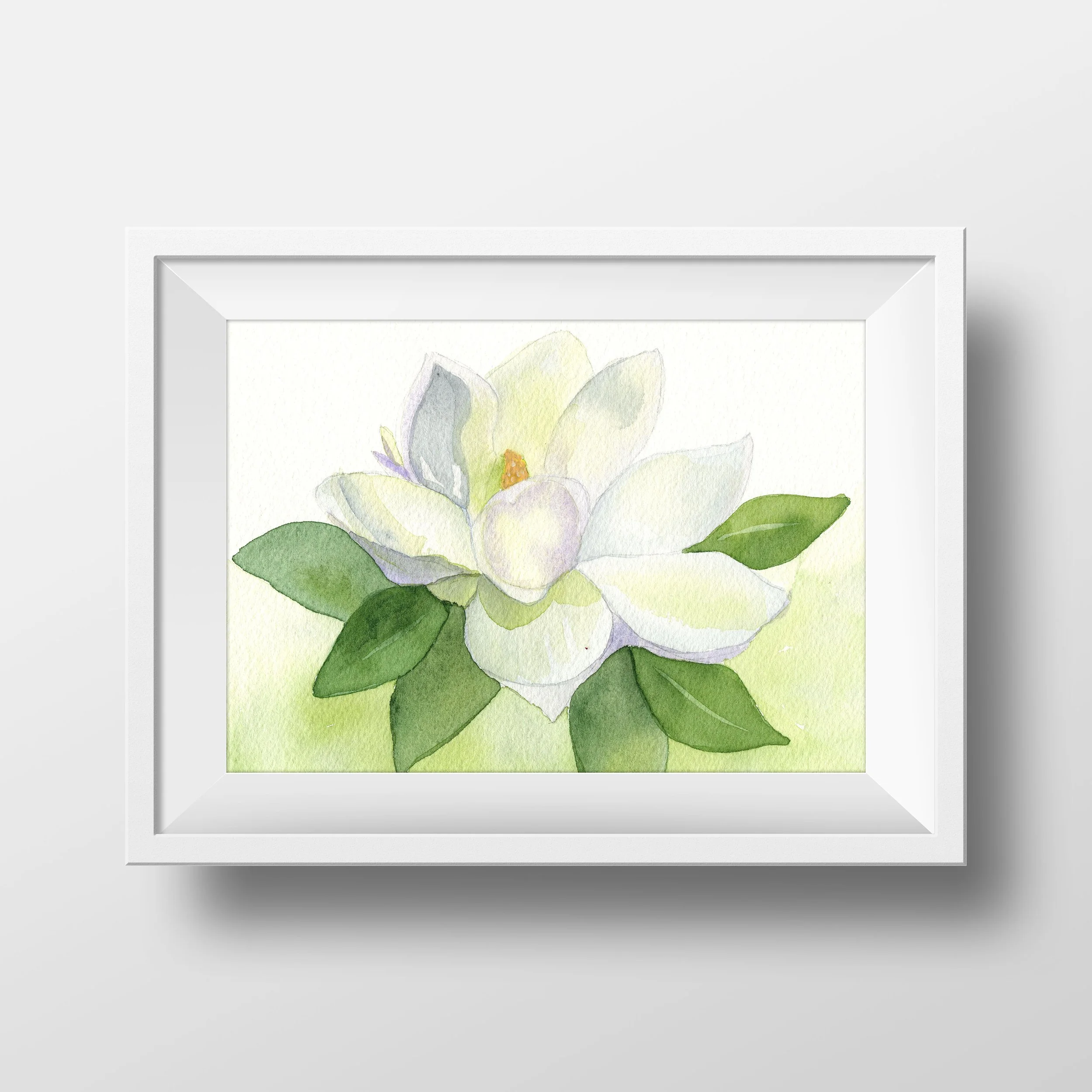 Small White Magnolia 1.jpg