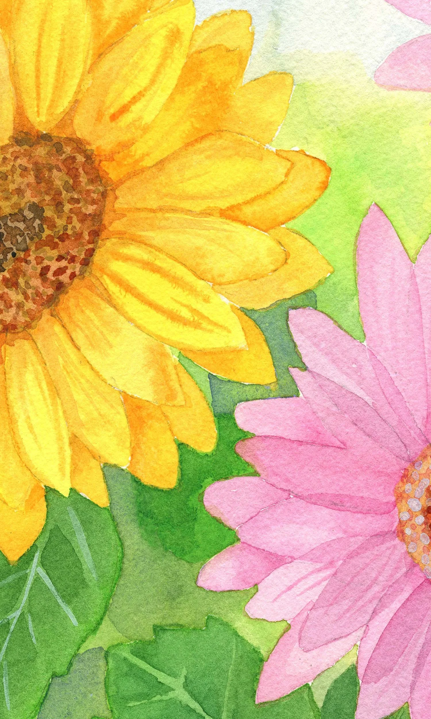 Gerbera Close up_0000_img262 copy.jpg