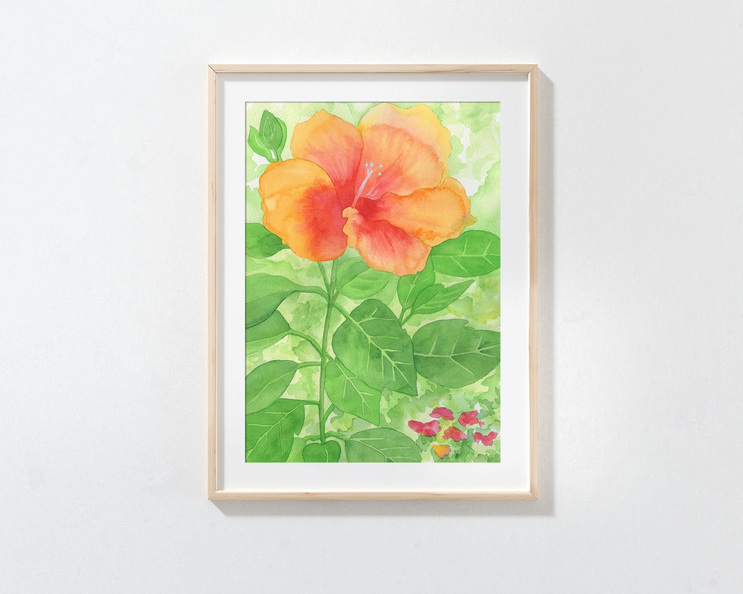 Hibiscus5A.jpg