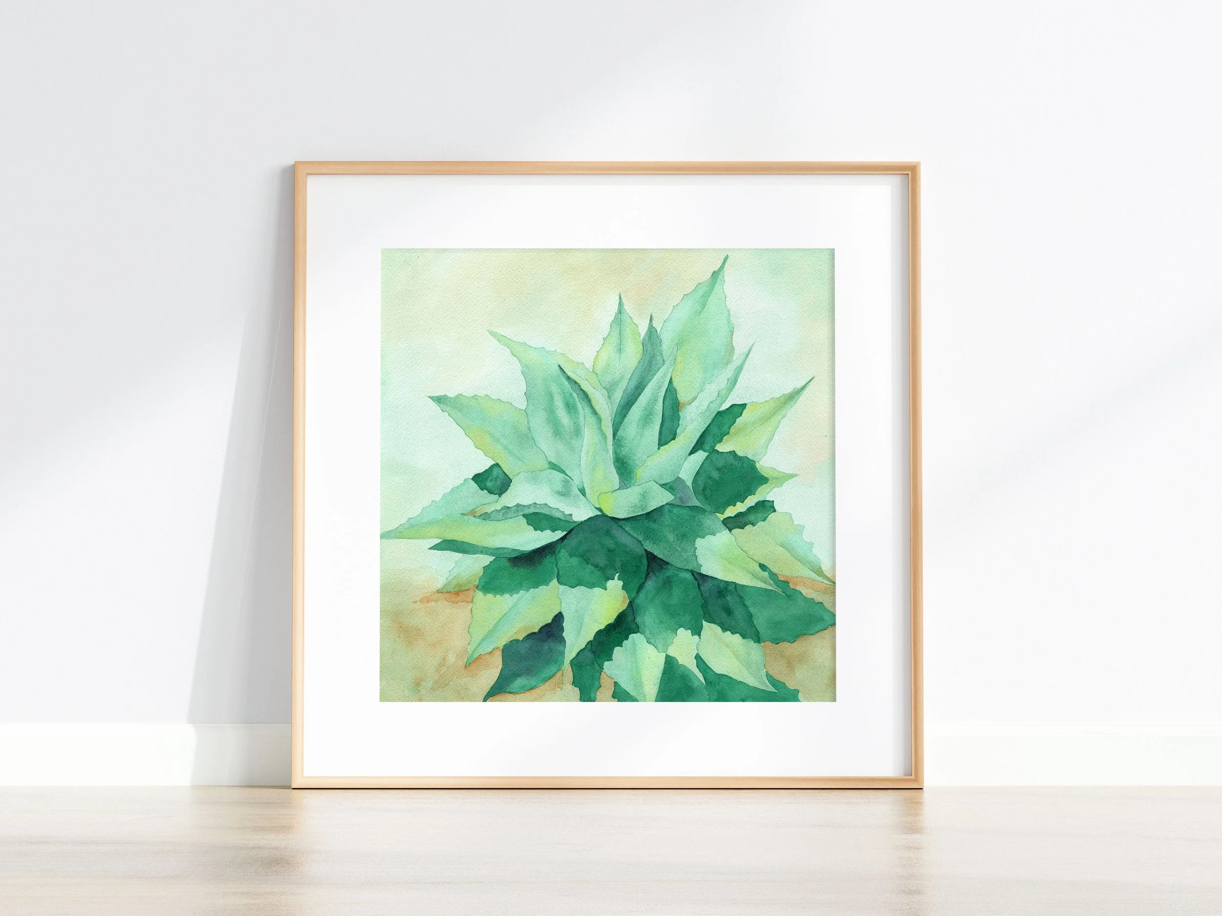 Agave One D.jpg