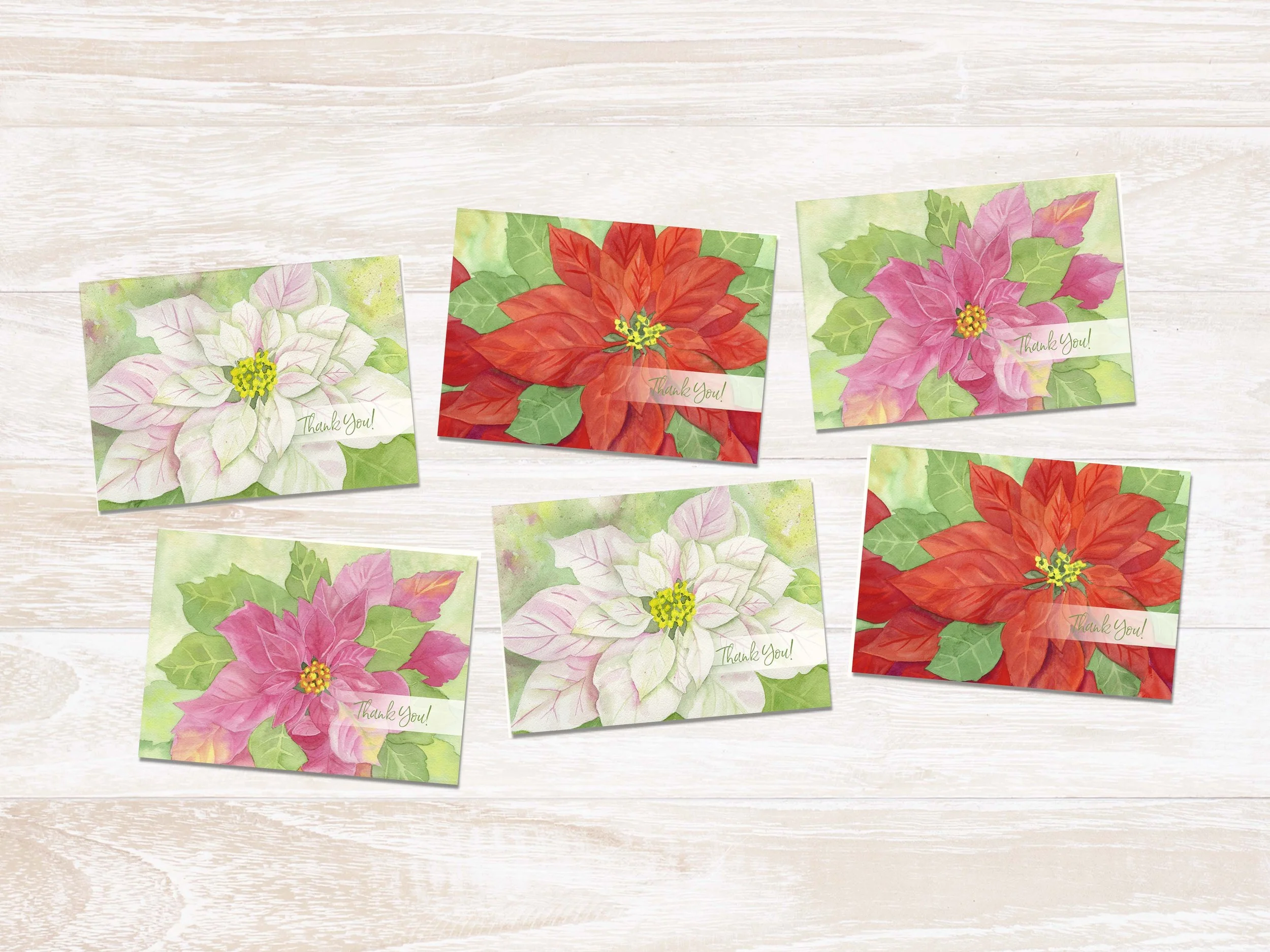 All 6 Poinsettia TY.jpg