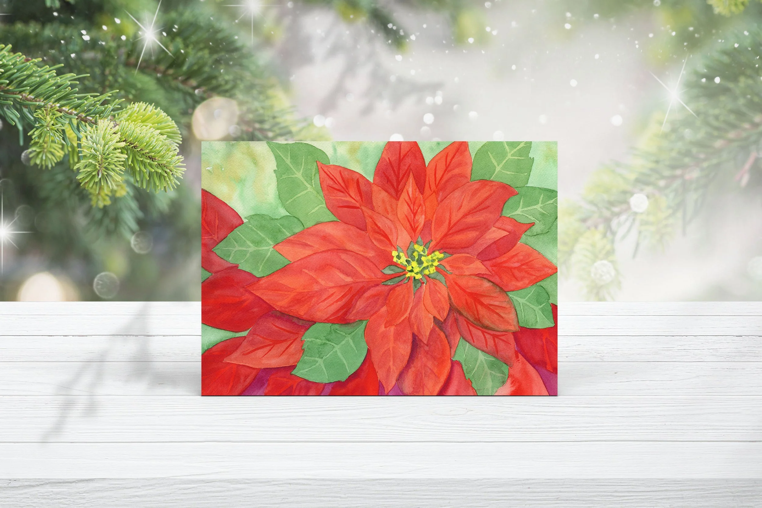 Pointsettia I.jpg