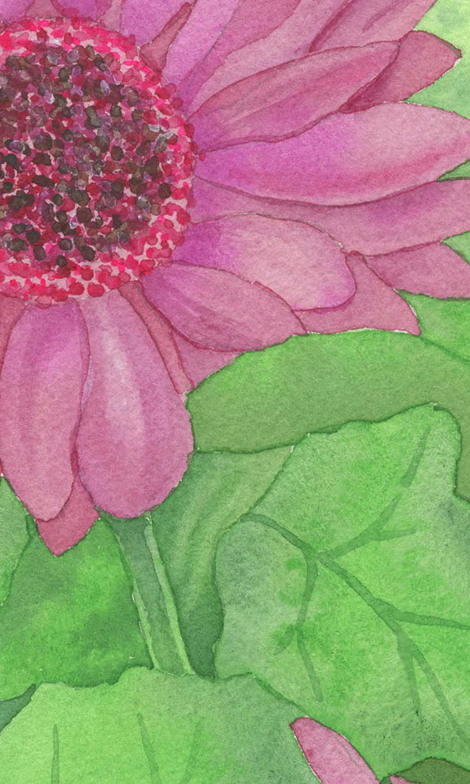 Gerbera Close up_0002_img020 Small.jpg