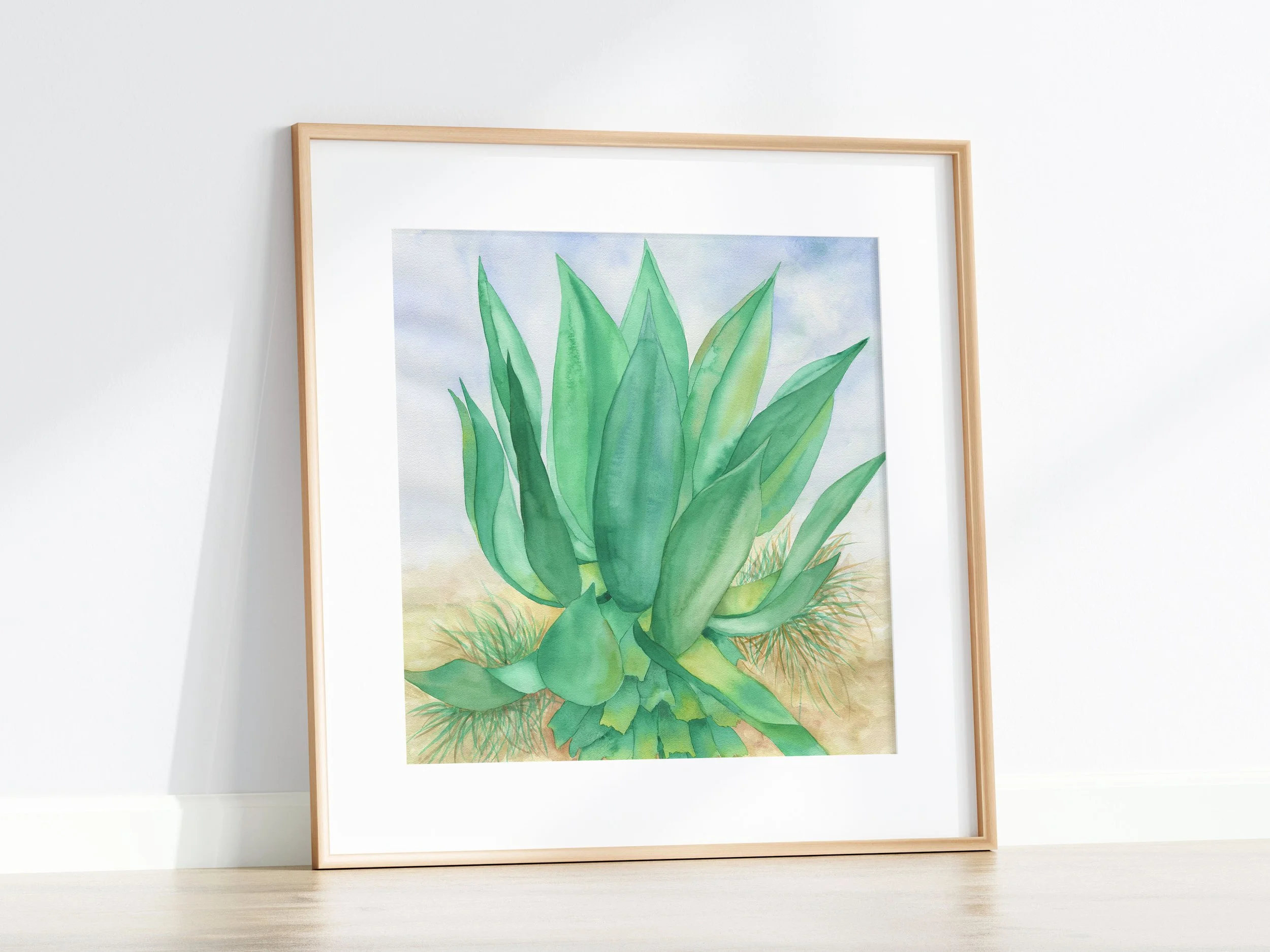 Agave Four E.jpg