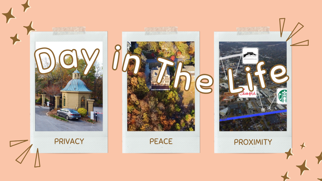 Copy of The Life.png
