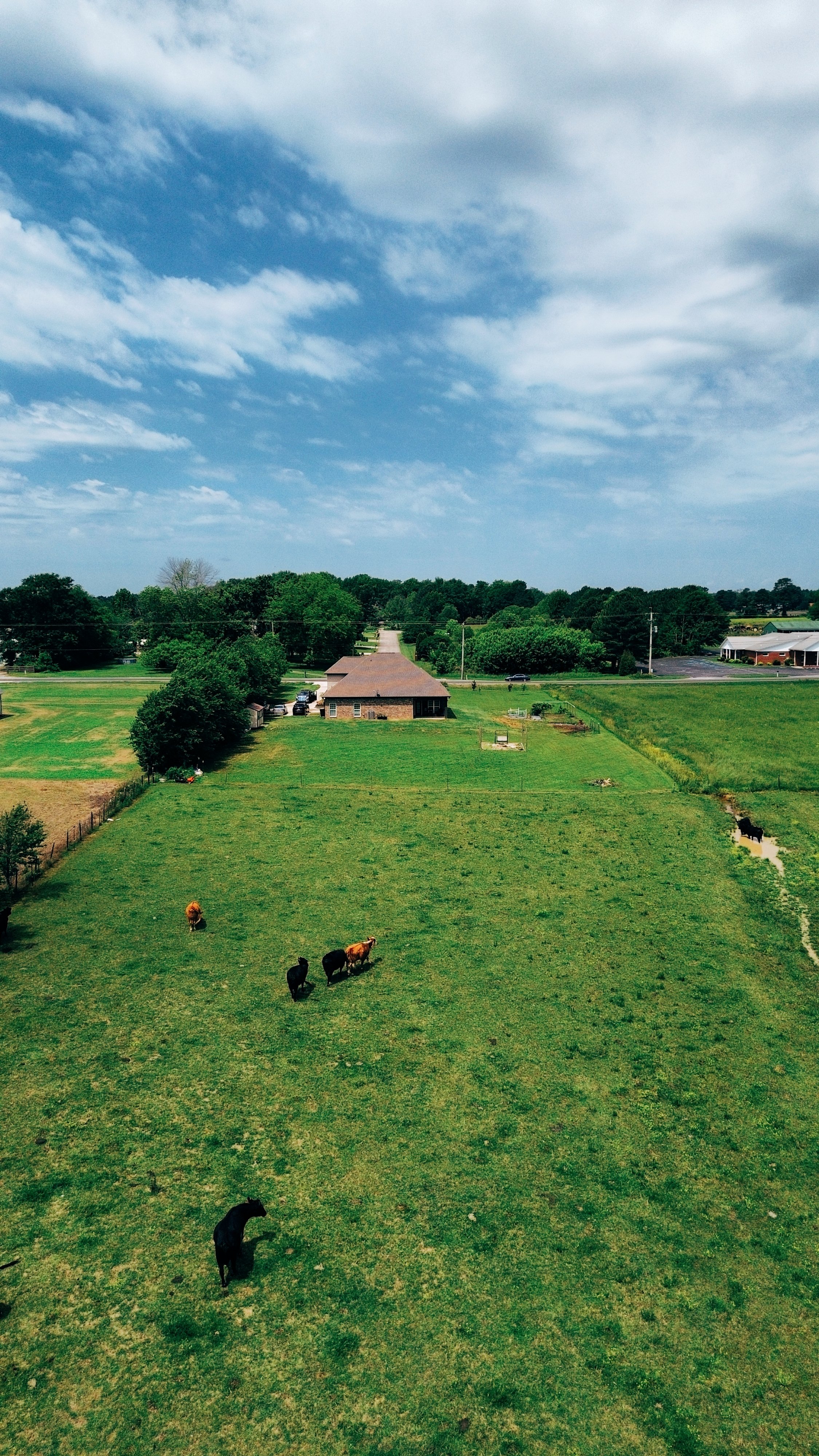 dji_fly_20250514_112140_147_1747239707549_photo_optimized.jpg