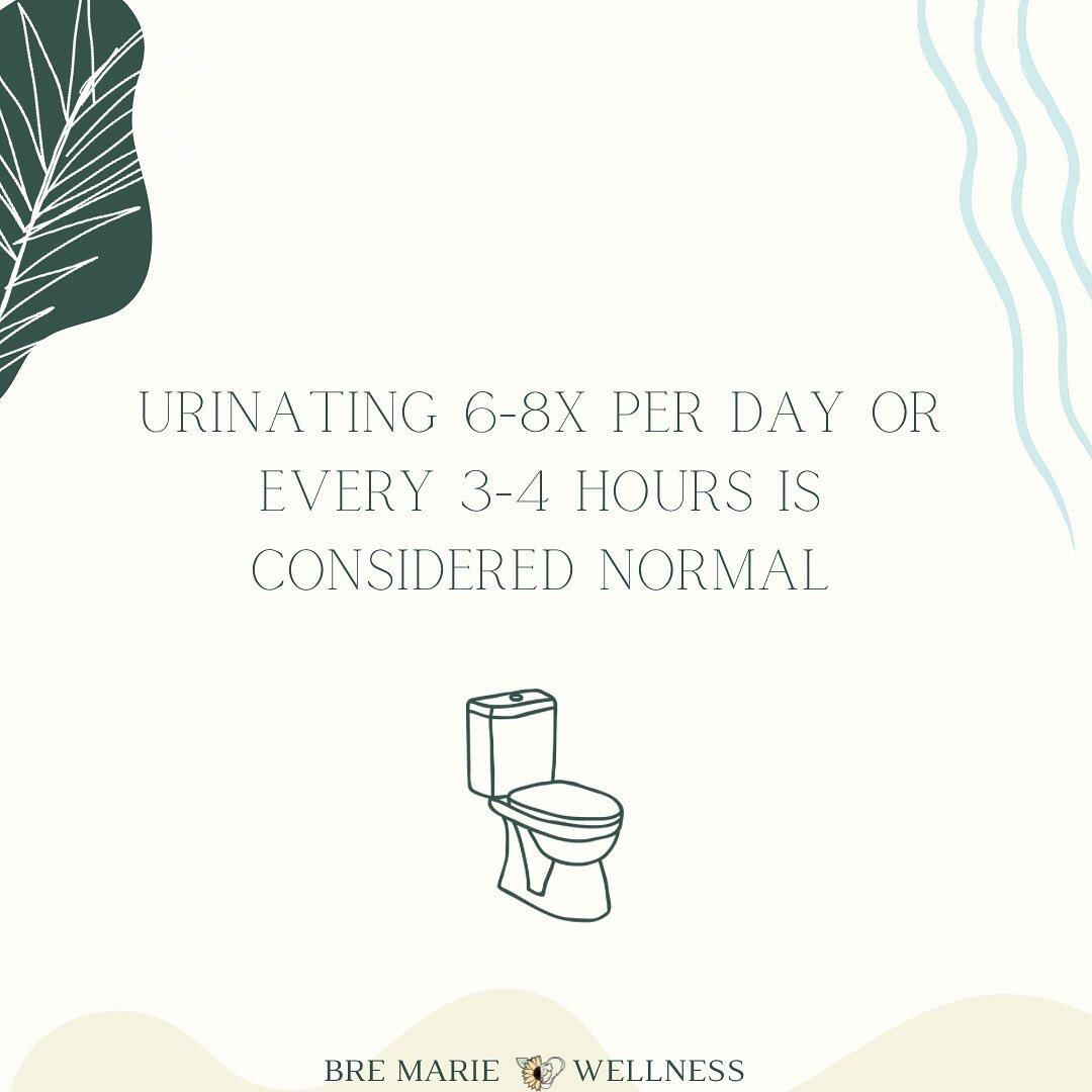 Urinating 6-8 times per day or every 3-4 hours is considered normal

Are you able to hold your pee through a movie? How about a meeting or when you are out to eat?

If how often you are peeing is affecting your day to day try some of the urge suppres