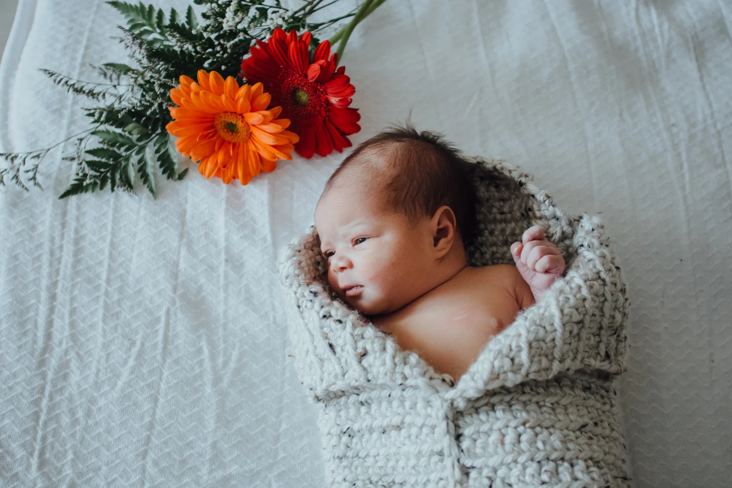 Baby Stella | Indianapolis Portrait Photography