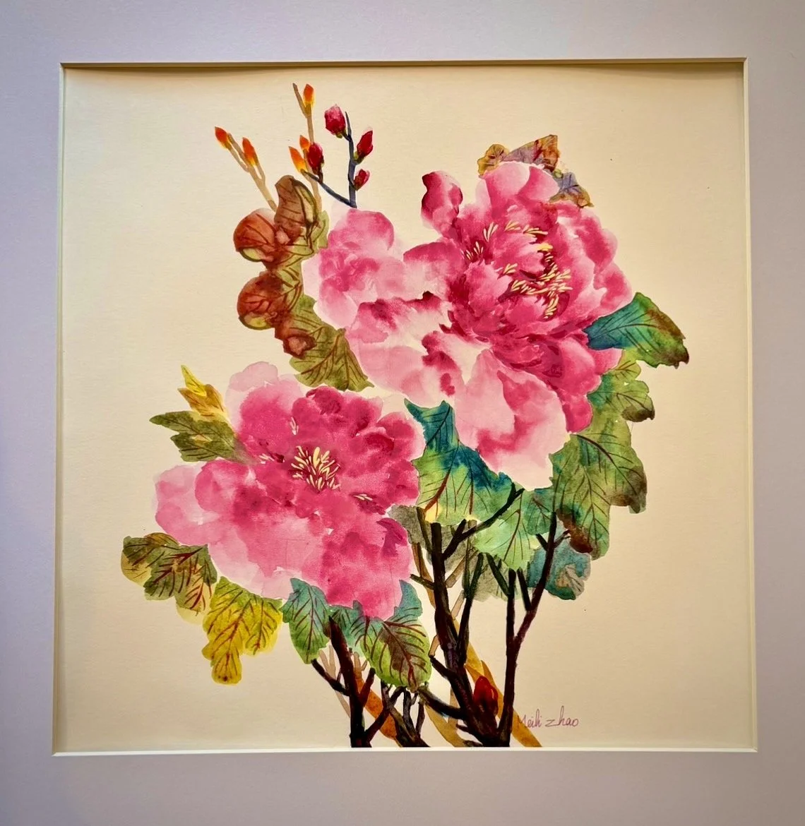 Peonies are the Queen of flowers