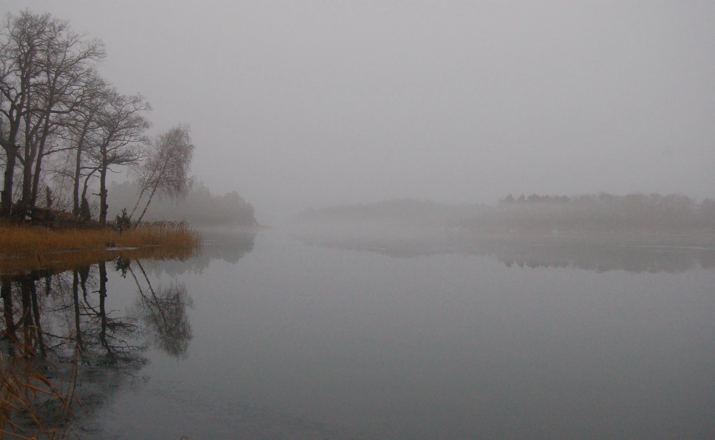 Ängsudden 5: Winter
