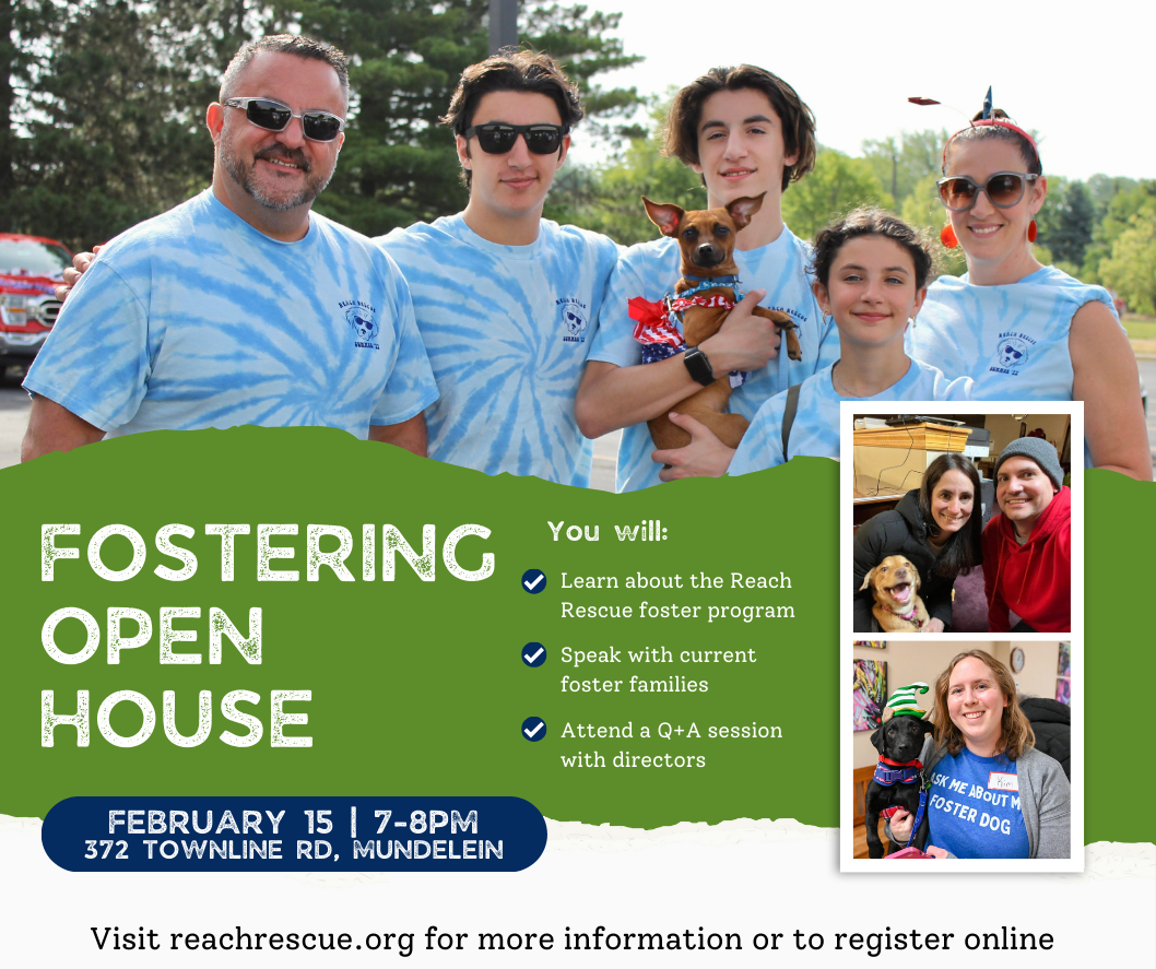 Upcoming Events — Reach Rescue