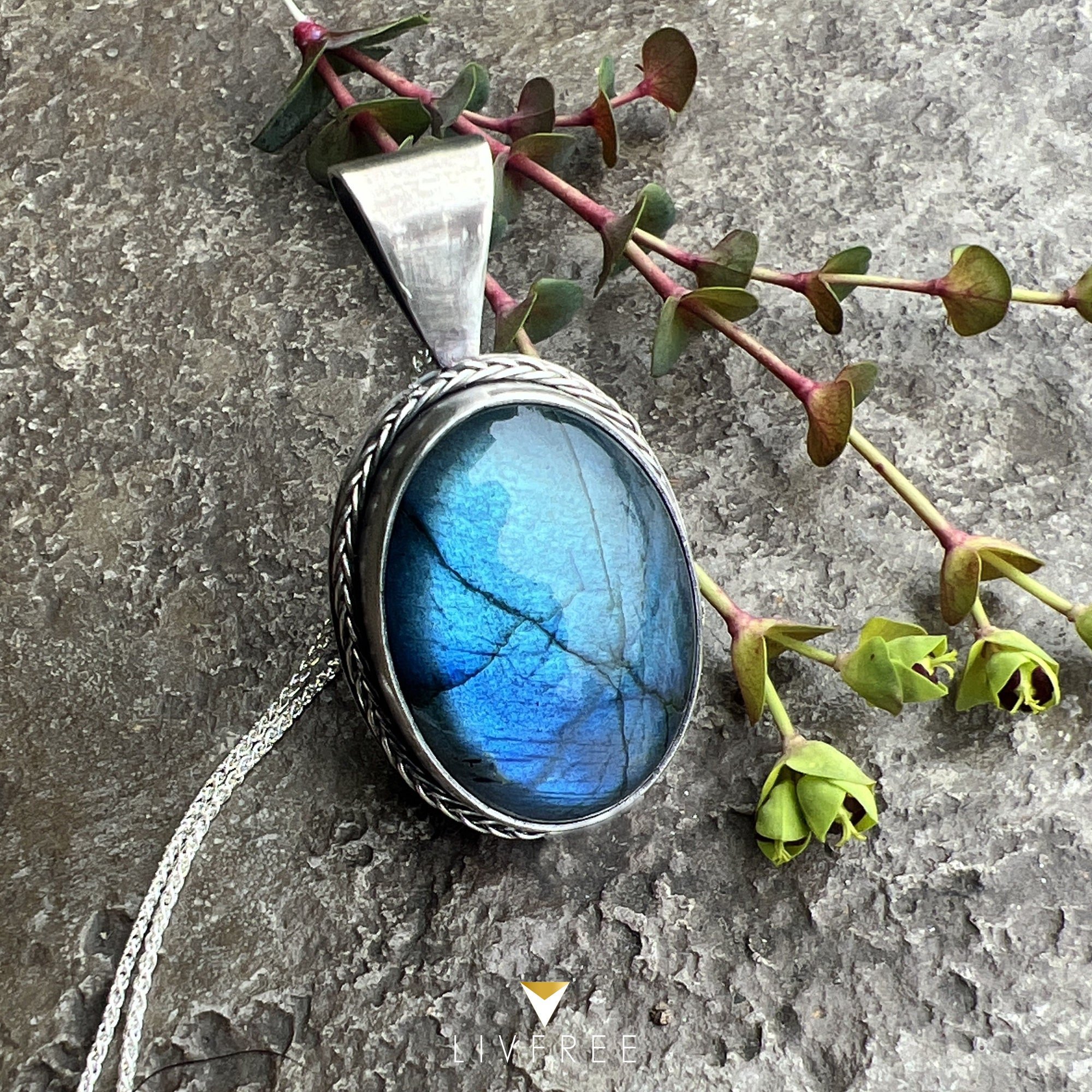 https://i.etsystatic.com/24043452/r/il/6e3a9a/3656689395/il_fullxfull.3656689395_c4rl.jpg