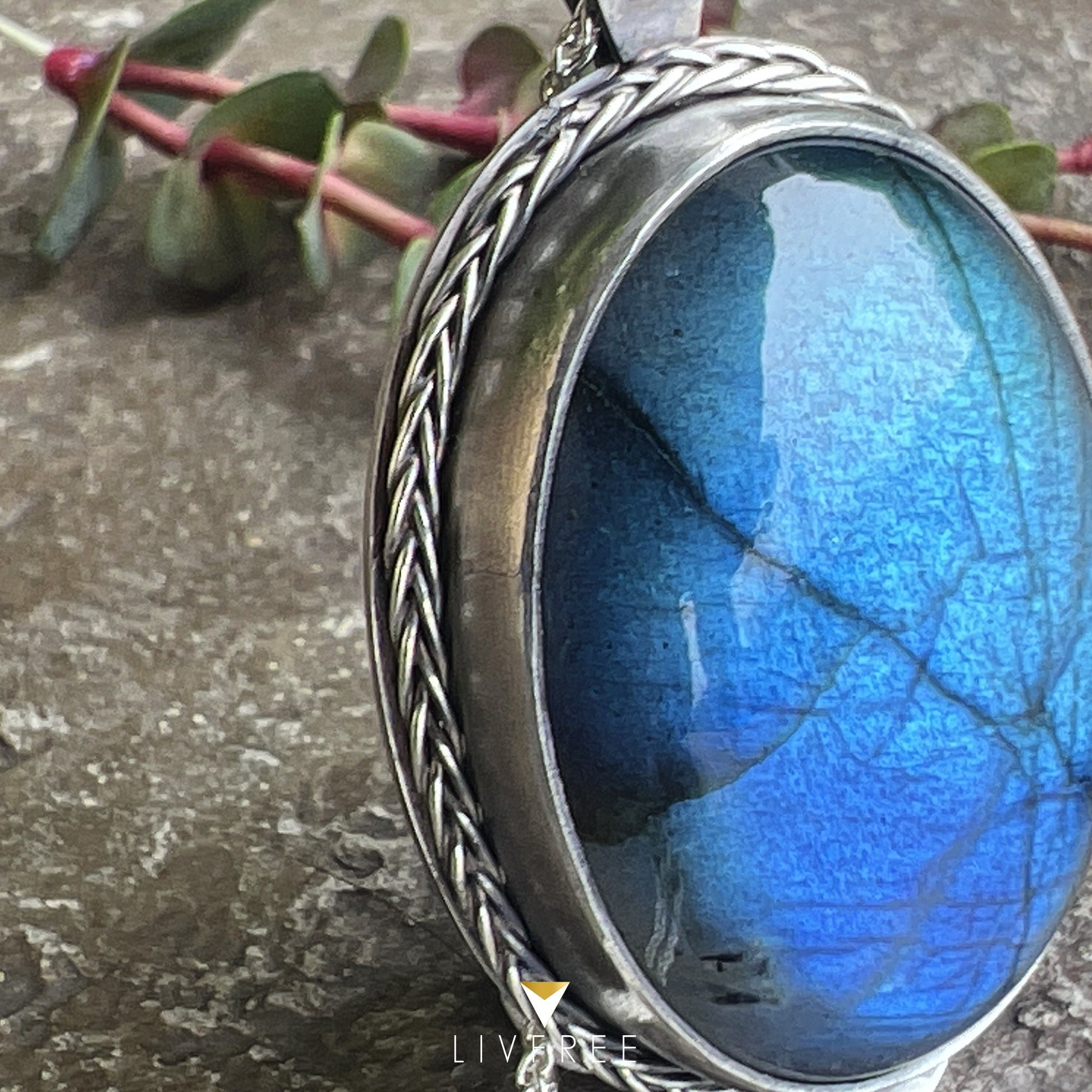 https://i.etsystatic.com/24043452/r/il/33cbb6/3609073524/il_fullxfull.3609073524_q4jn.jpg