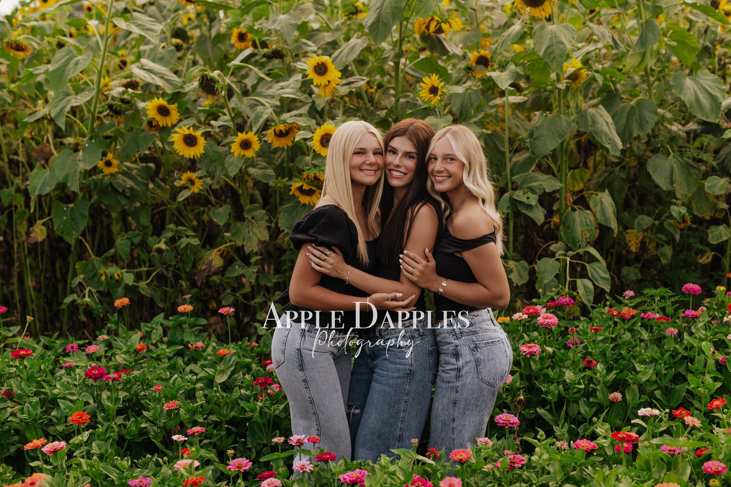 Sunflowers AUg 2025ADP_9978.jpg
