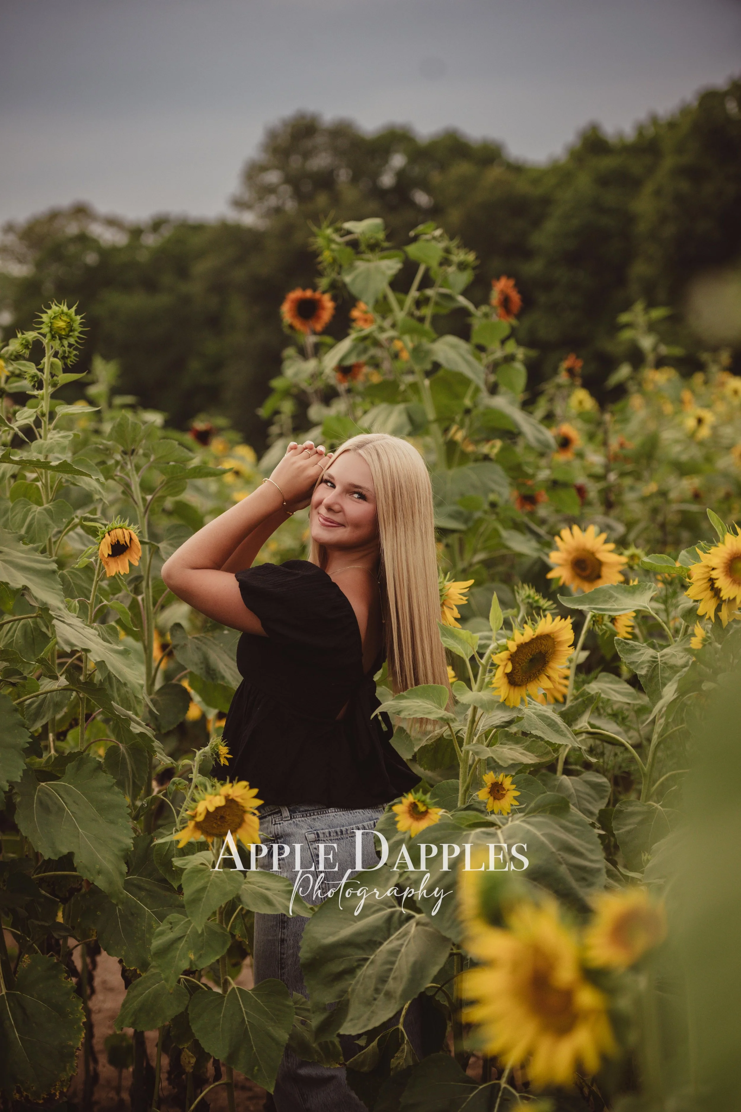 Sunflowers AUg 2025ADP_0454.jpg
