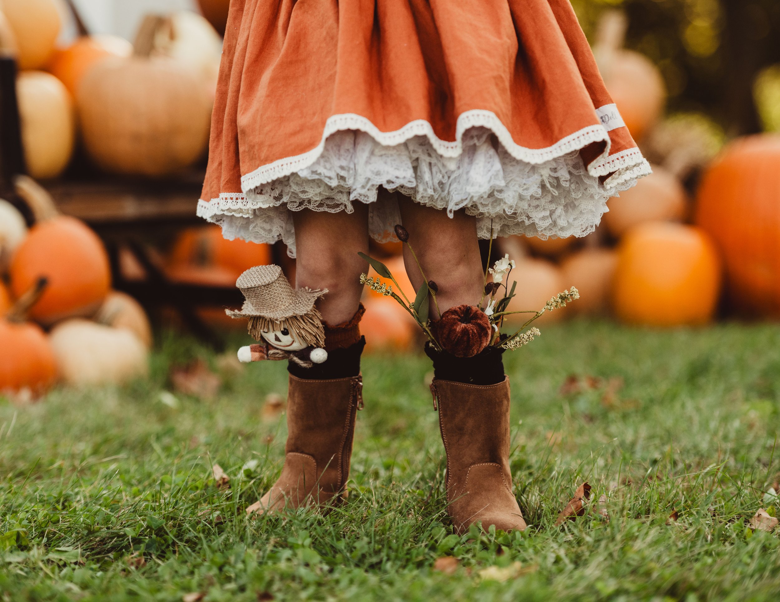 Pumpkins ElizabethADP_0261v.jpg
