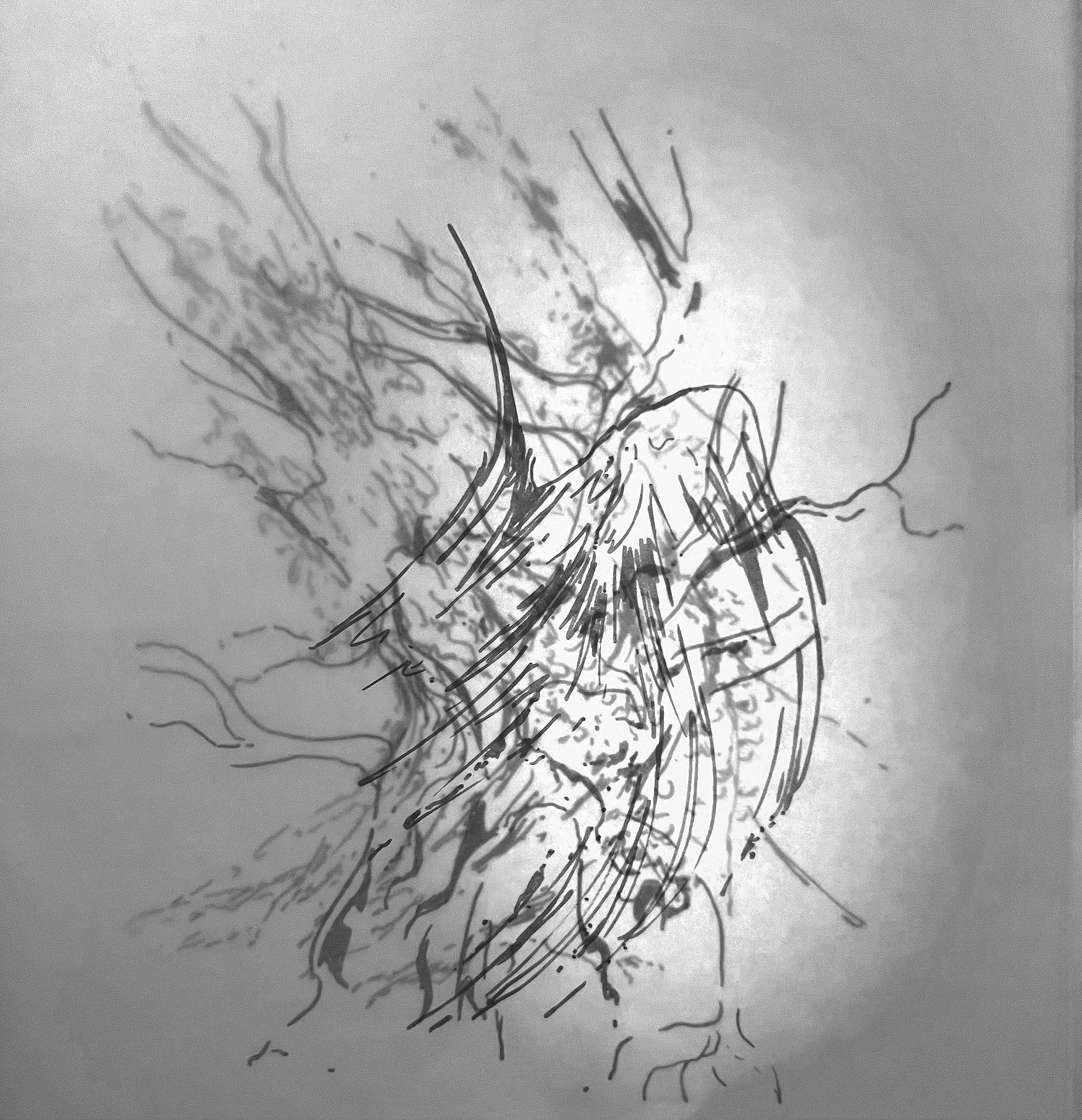 Etymologies Of Scale CORTEX COLLECTIVE