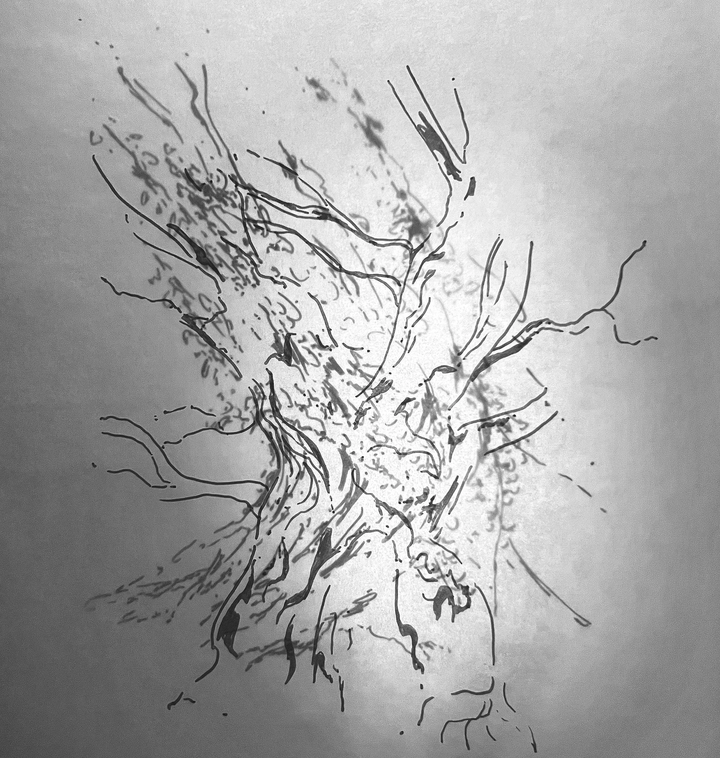 Etymologies Of Scale CORTEX COLLECTIVE