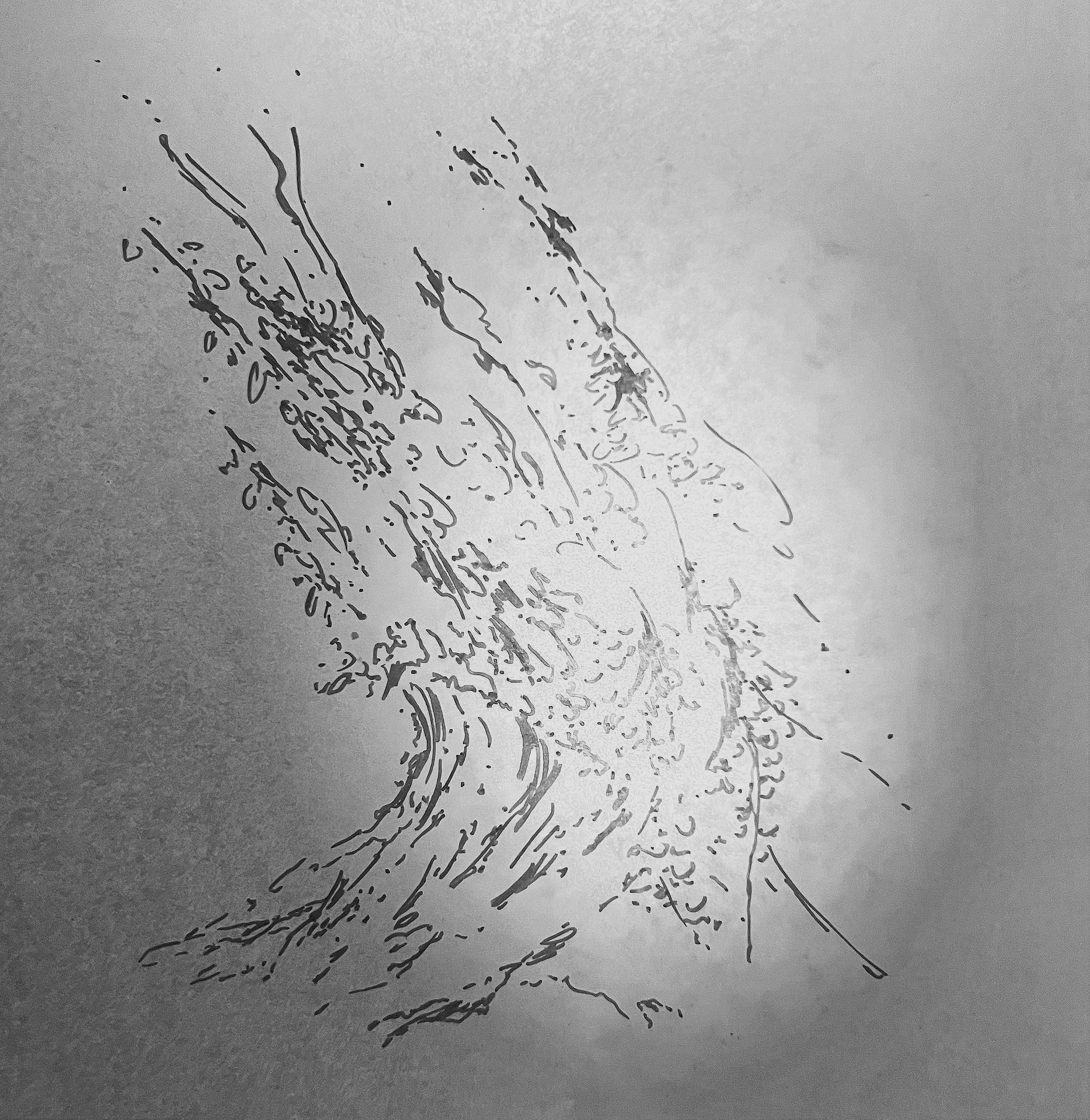 Etymologies Of Scale CORTEX COLLECTIVE