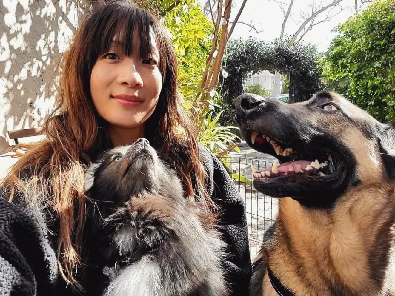 hi! i thought i would introduce myself for those who don't know me. my name is caroline &amp; i'm a CCPDT certified, positive reinforcement dog trainer in west hollywood. 🐶🐾 i'm also an AKC canine good citizen &amp; trick dog evaluator. i have 2 do