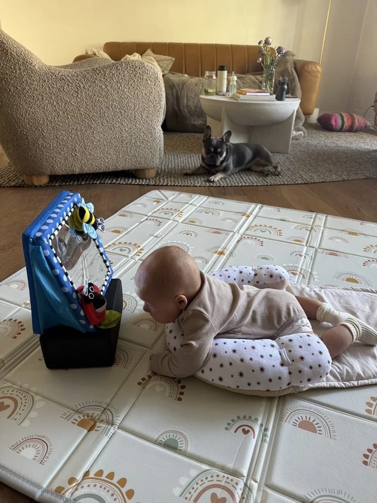 zadie.jpg