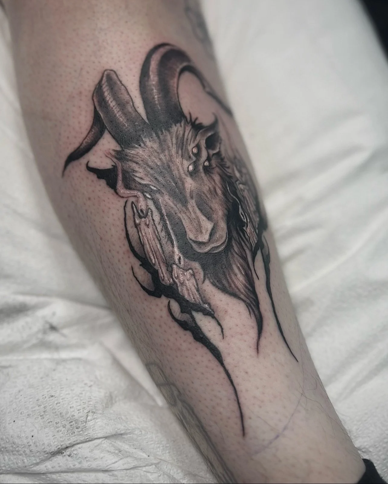 thanks for giving this one a home @snortingcats 🕯️🐐