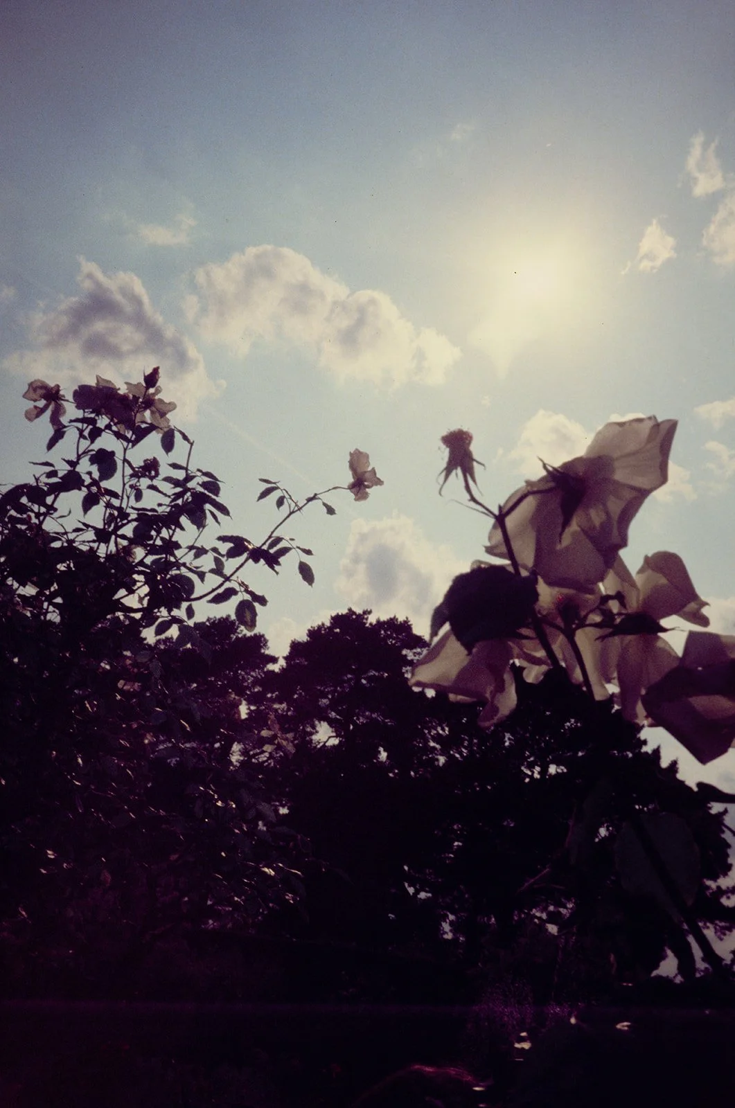 Flowers_UK_WeddingxStephanie-839.jpg