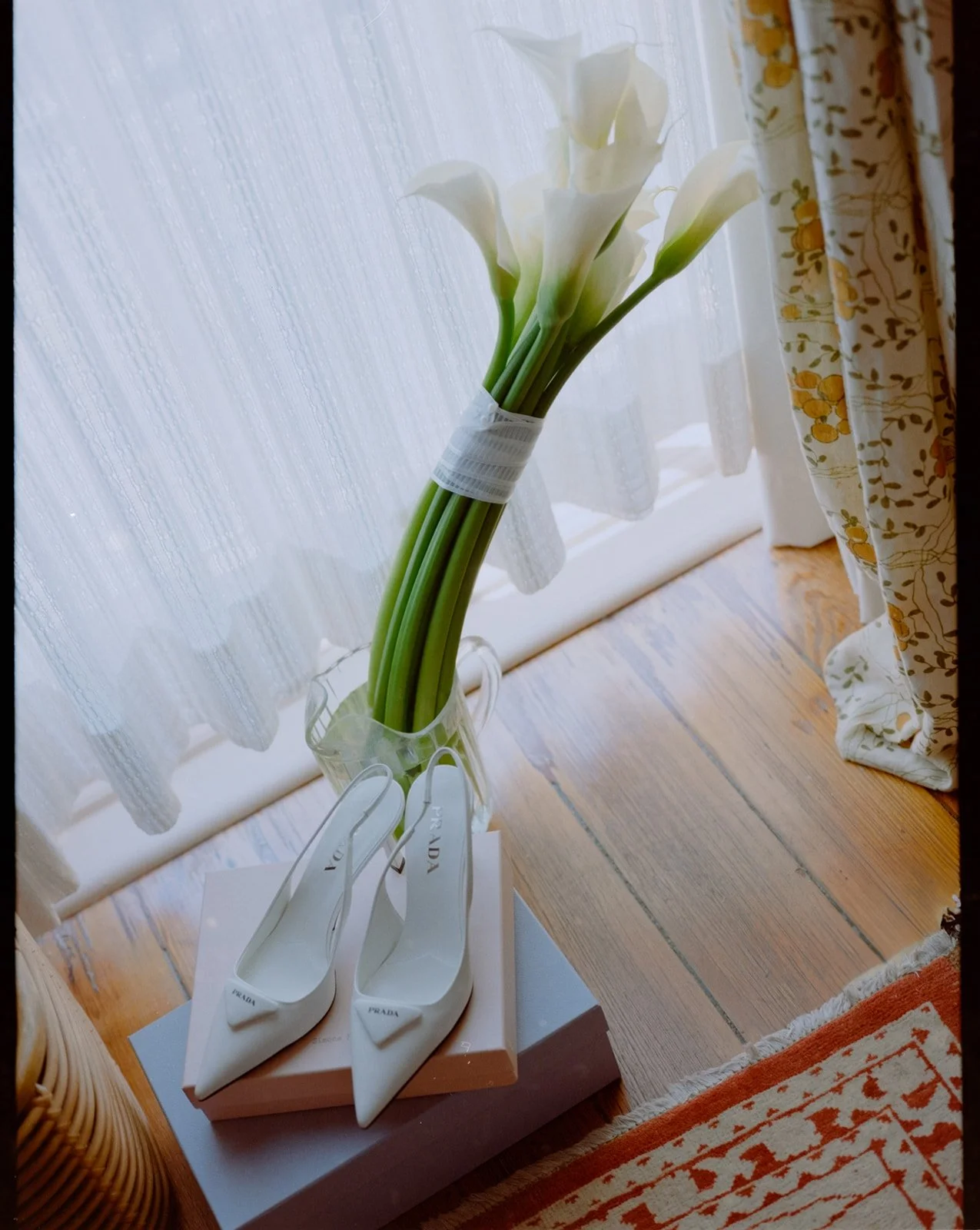 chadwick_lily_cmos-31.jpg