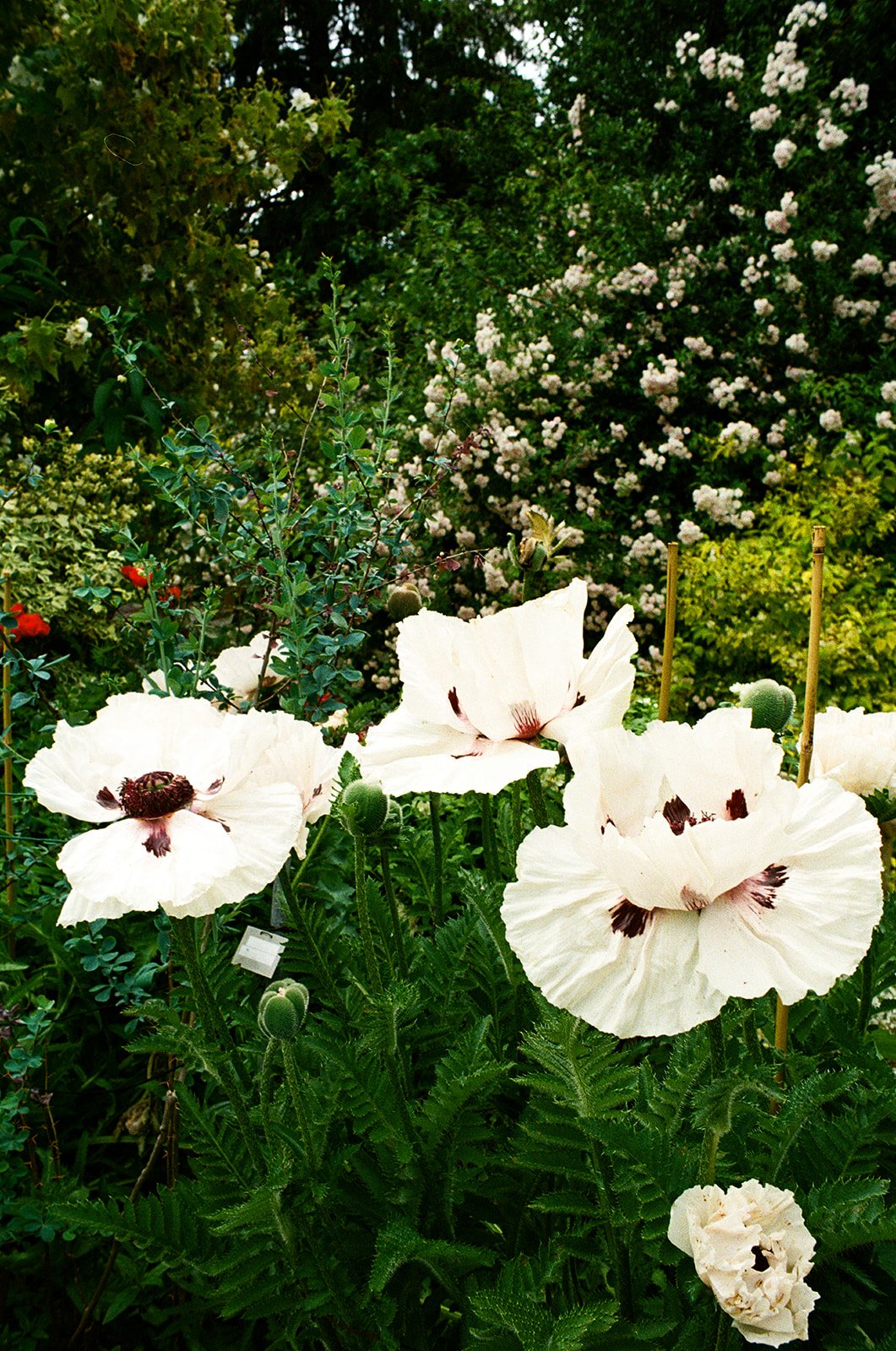 Flowers_UK_WeddingxStephanie-734.jpg