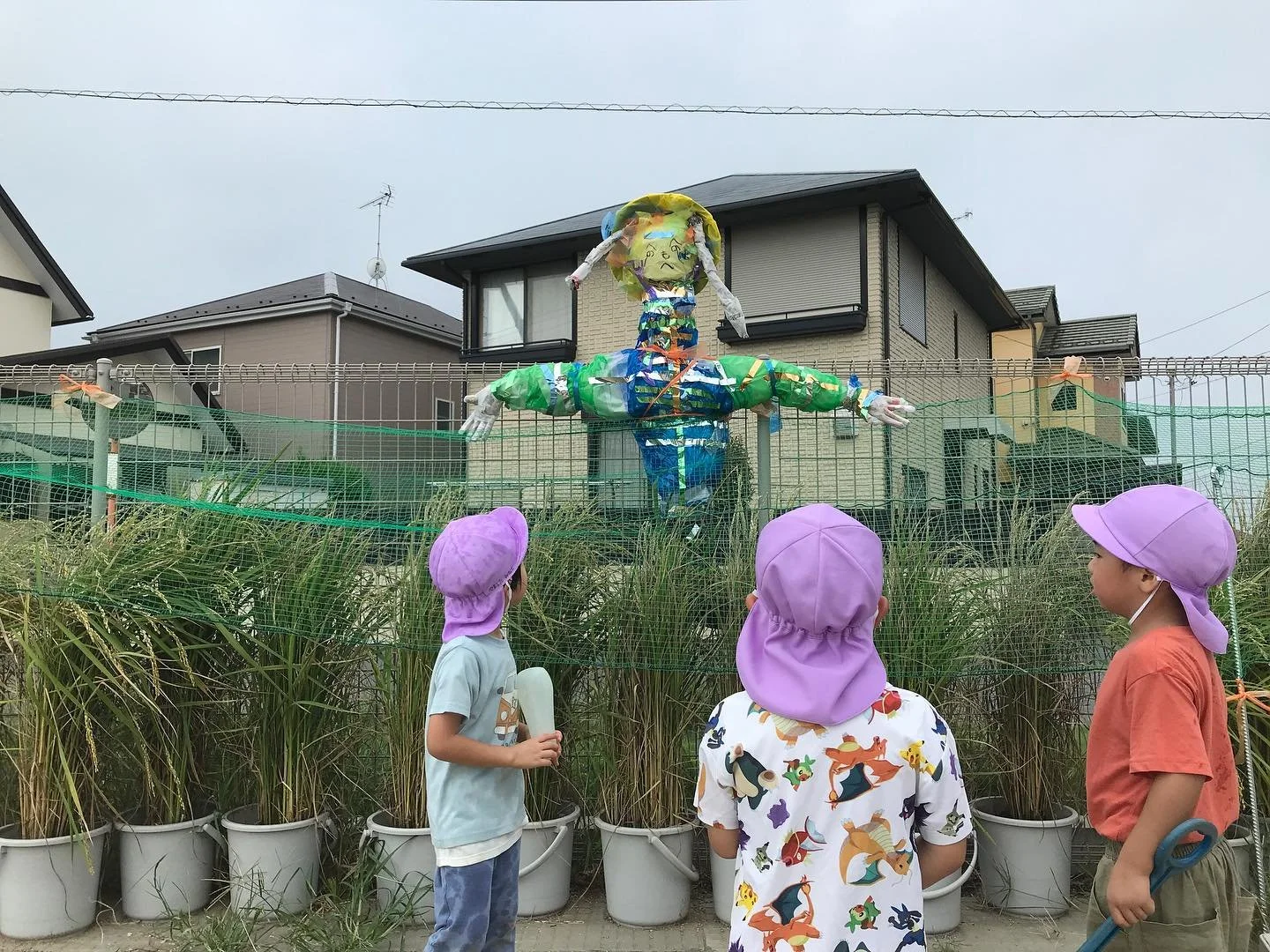 年長さんが園庭で大事に育てているお米も、収穫の時が近づいてきました。

けれど最近は、美味しいお米を狙って、スズメさんがくるようになりました。

どうやってお米を守ろうかと、みんなで考えて、お米の本にのっていたかかしを作ることに。

これでスズメさん対策はバッチリです！