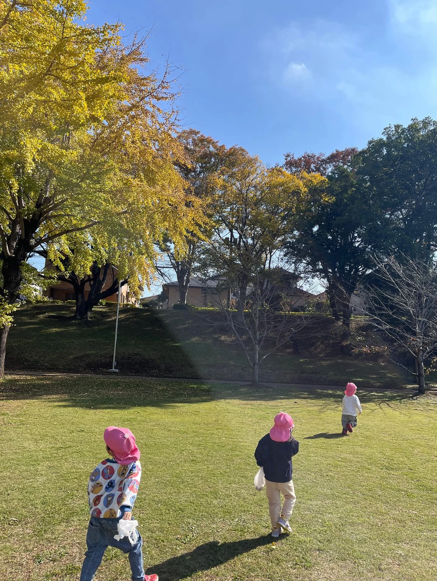 秋を探しに公園へ。
見つけた、たくさんの宝物🍁
さあ、これを使って何して遊ぼうか。