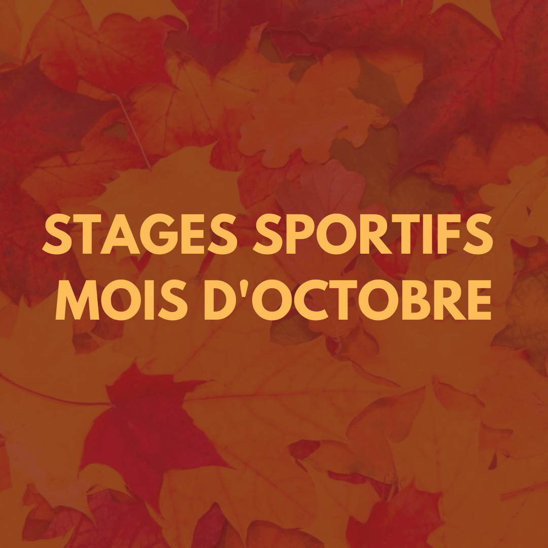 STAGE OCTOBRE 