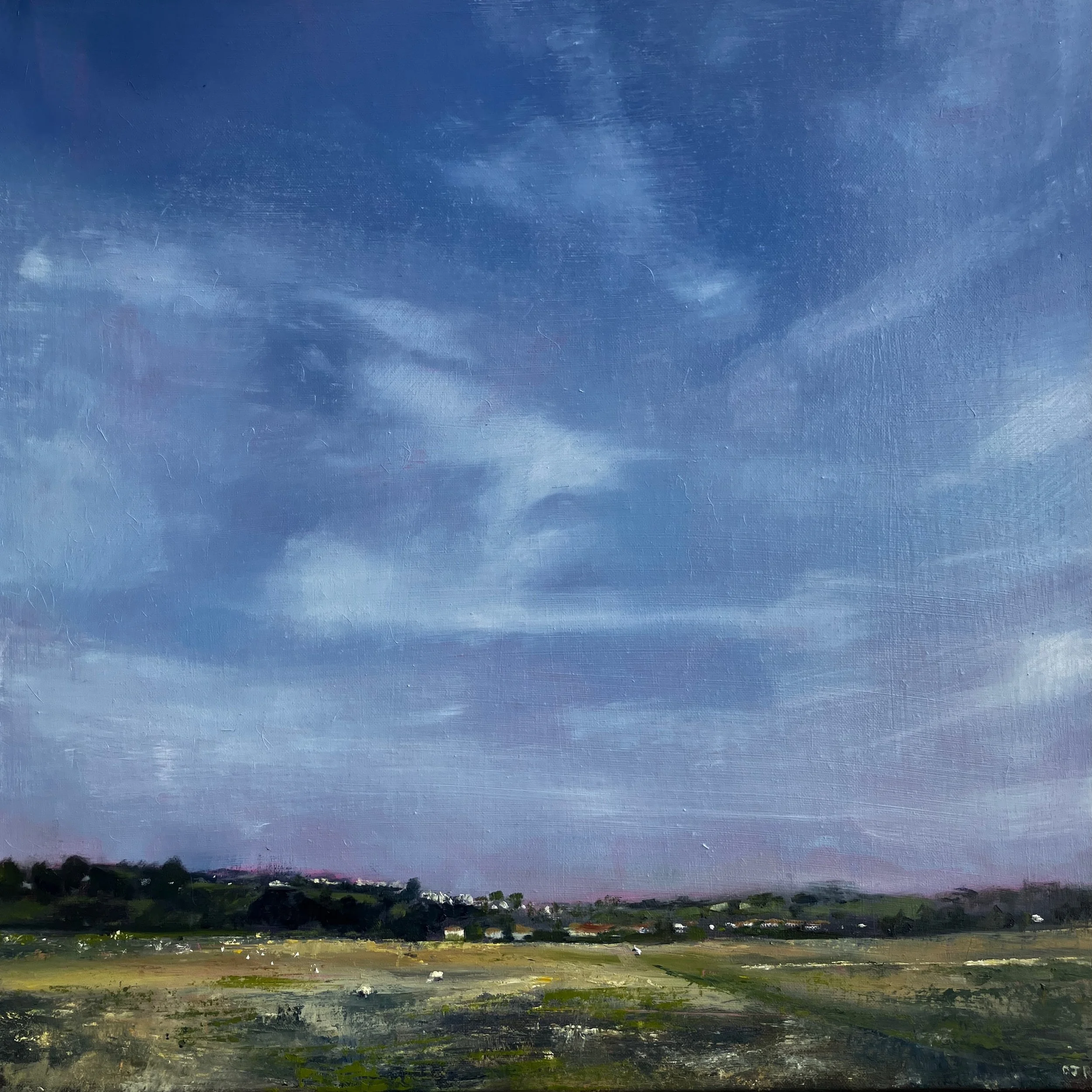 Sheep At Rye Harbour. Oil on canvas. 50x50 cm. £350