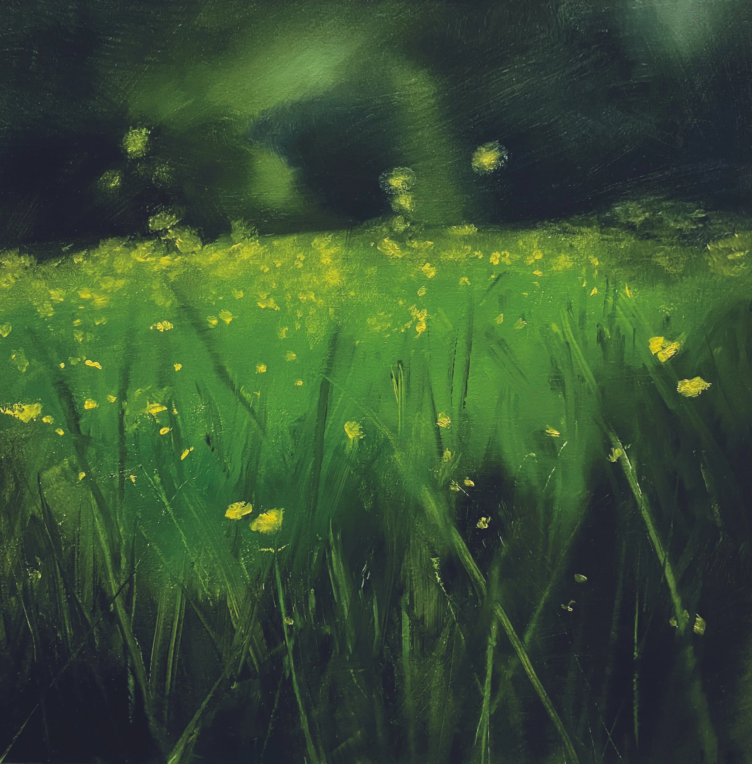 Buttercups. Oil on board. 25x25 cm. SOLD
